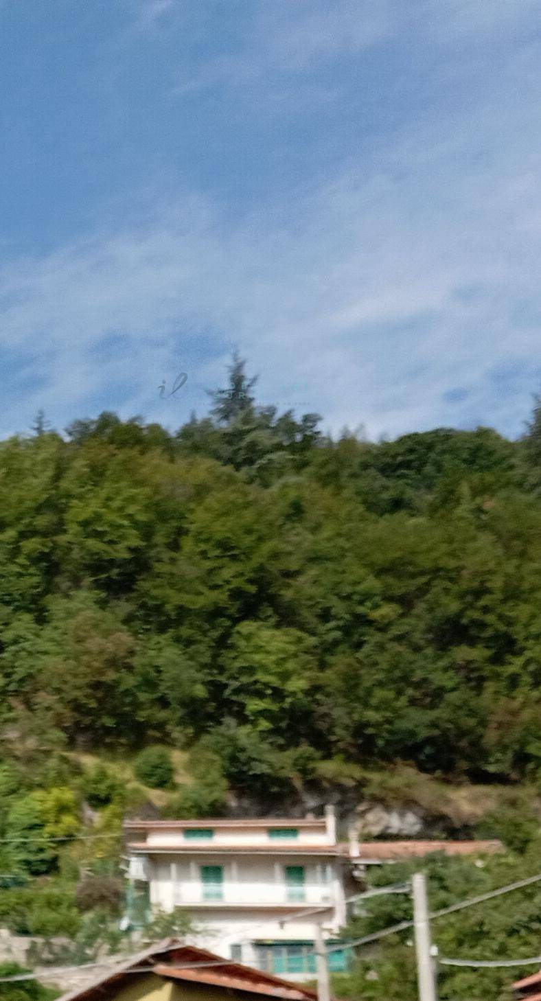 Casa singola in vendita a Garessio