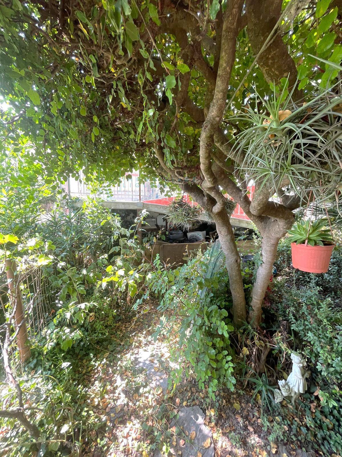 Appartamento in vendita a Borghetto d'Arroscia, Leverone