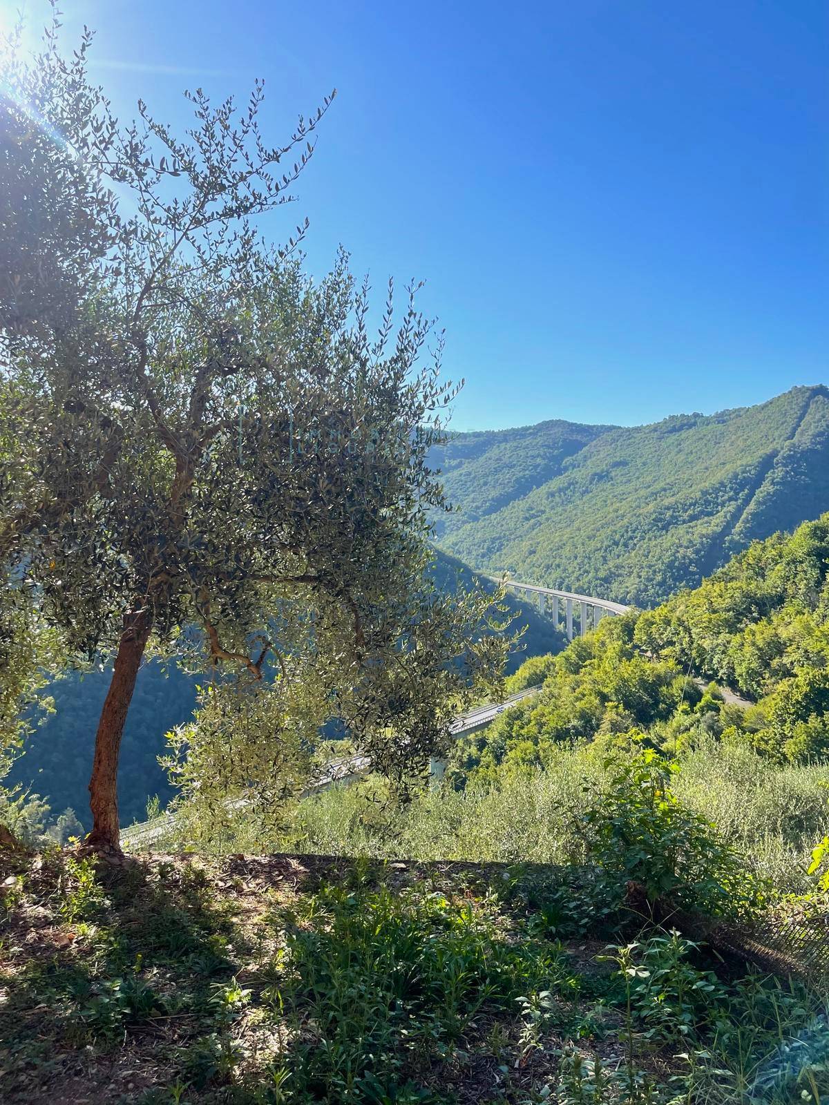 Rustico in vendita a Pieve di Teco, Calderara