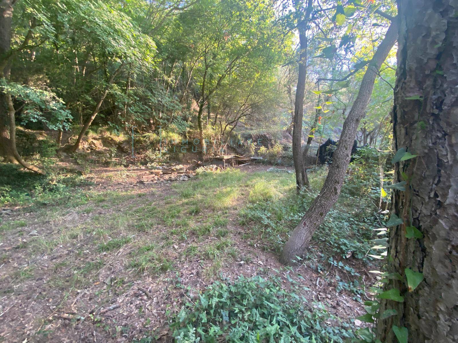 Terreno Agricolo in vendita a Albenga, San Fedele