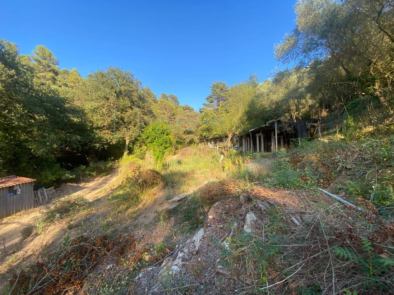 Terreno Agricolo in vendita a Albenga, San Fedele