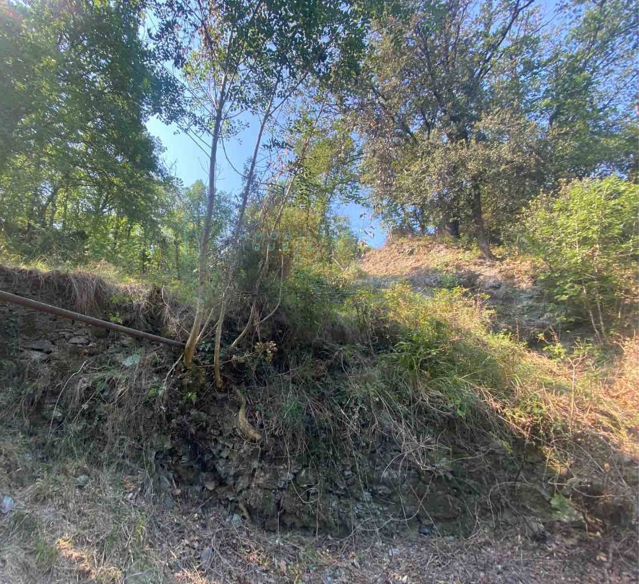 Terreno edificabile in vendita a Calice Ligure