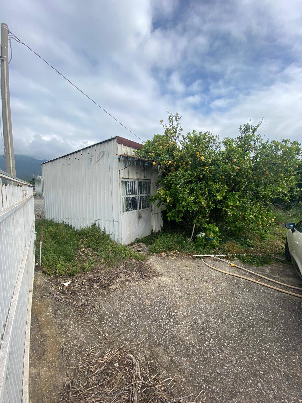 Terreno Agricolo in vendita a Albenga, Campochiesa