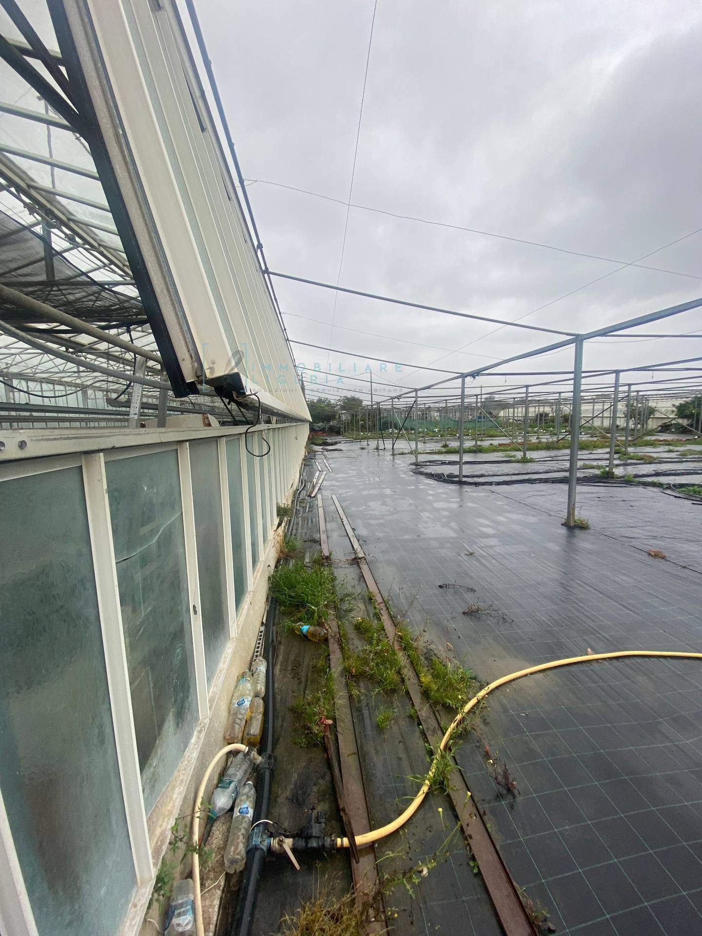 Terreno Agricolo in vendita a Albenga, Campochiesa