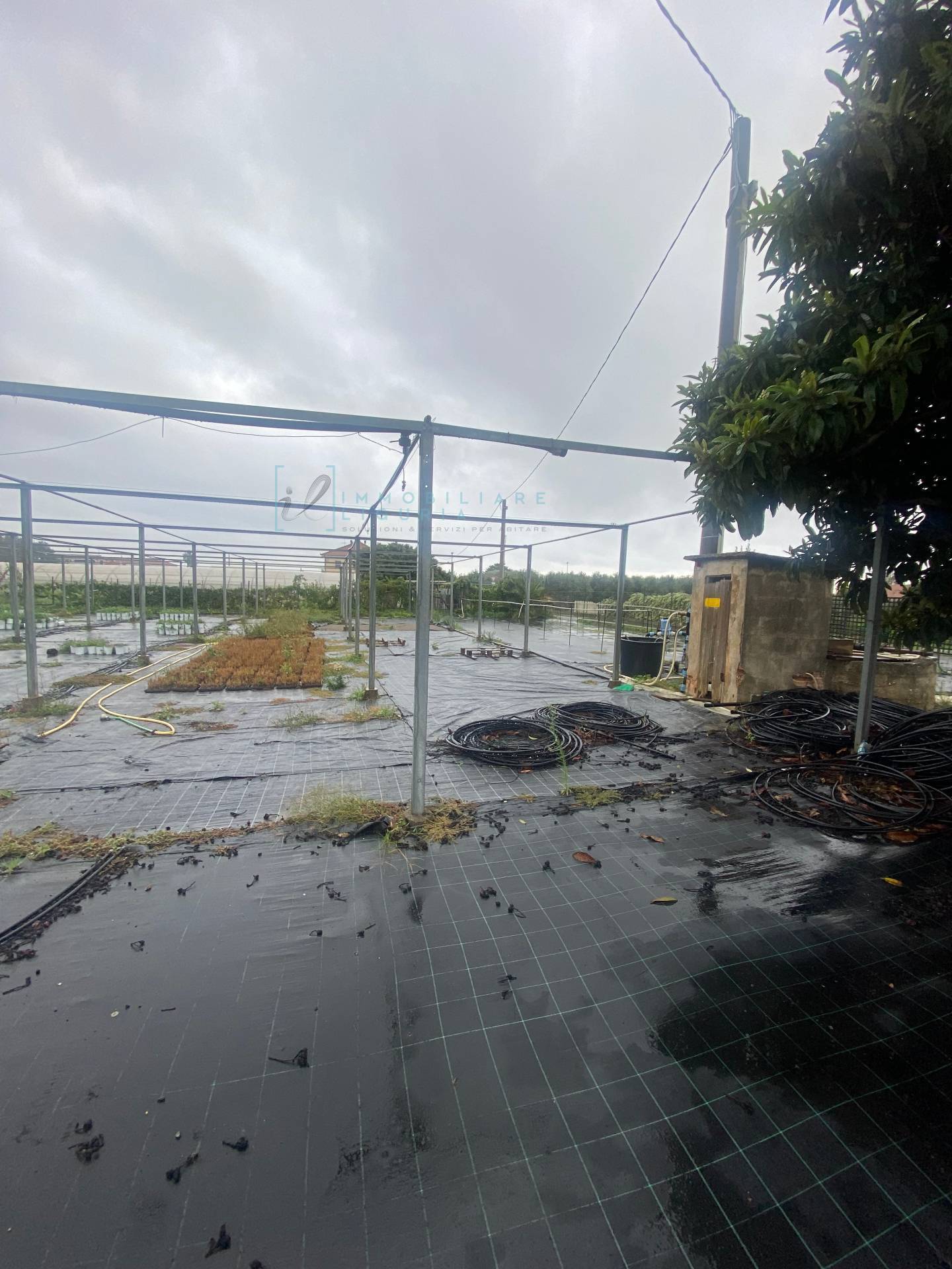 Terreno Agricolo in vendita a Albenga, Campochiesa