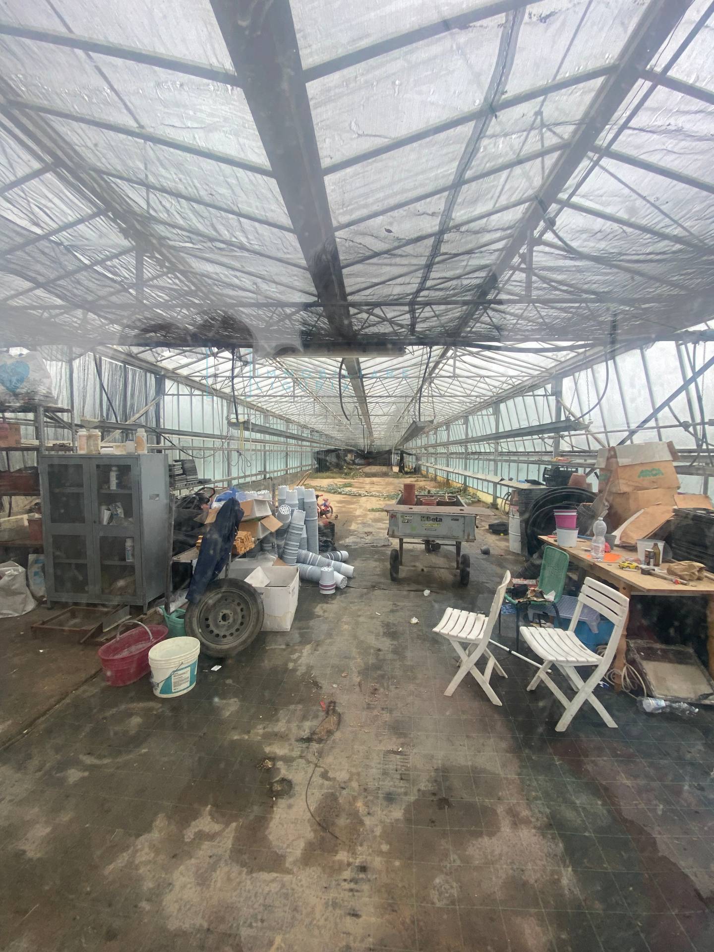 Terreno Agricolo in vendita a Albenga, Campochiesa