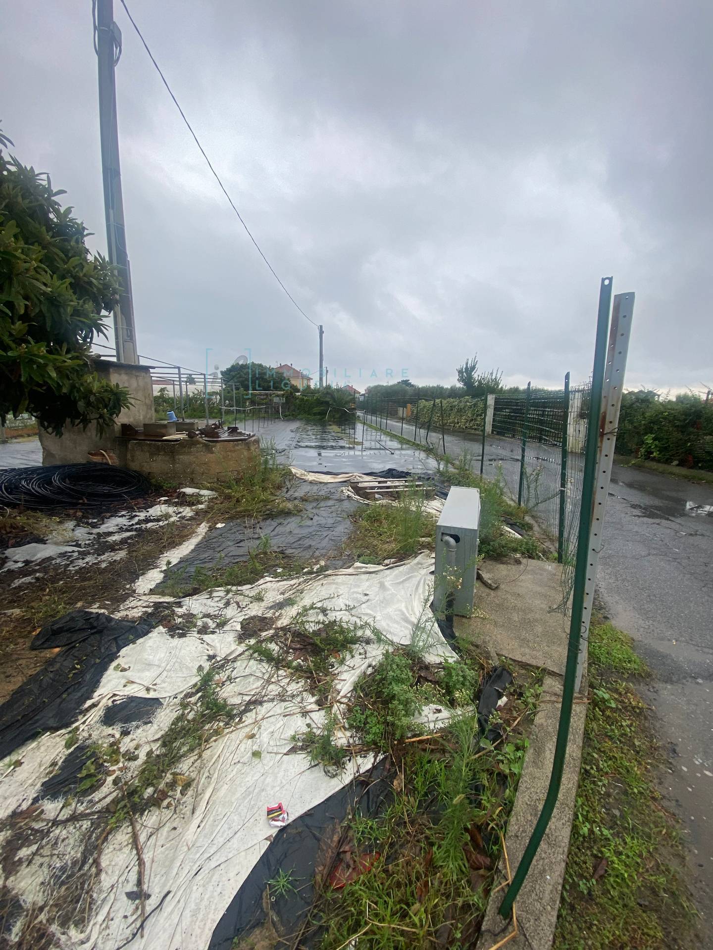 Terreno Agricolo in vendita a Albenga, Campochiesa