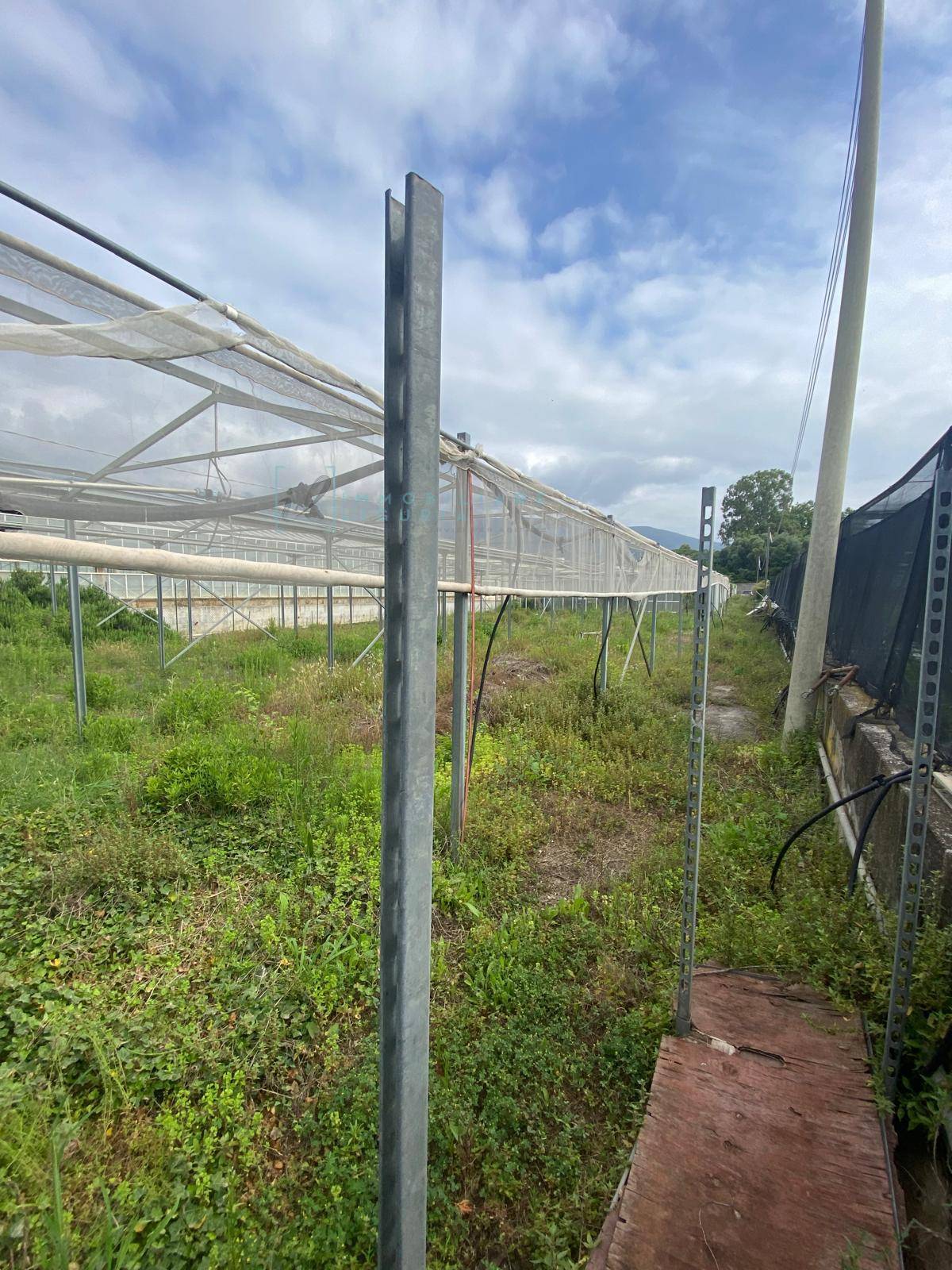 Terreno Agricolo in vendita a Albenga, Campochiesa