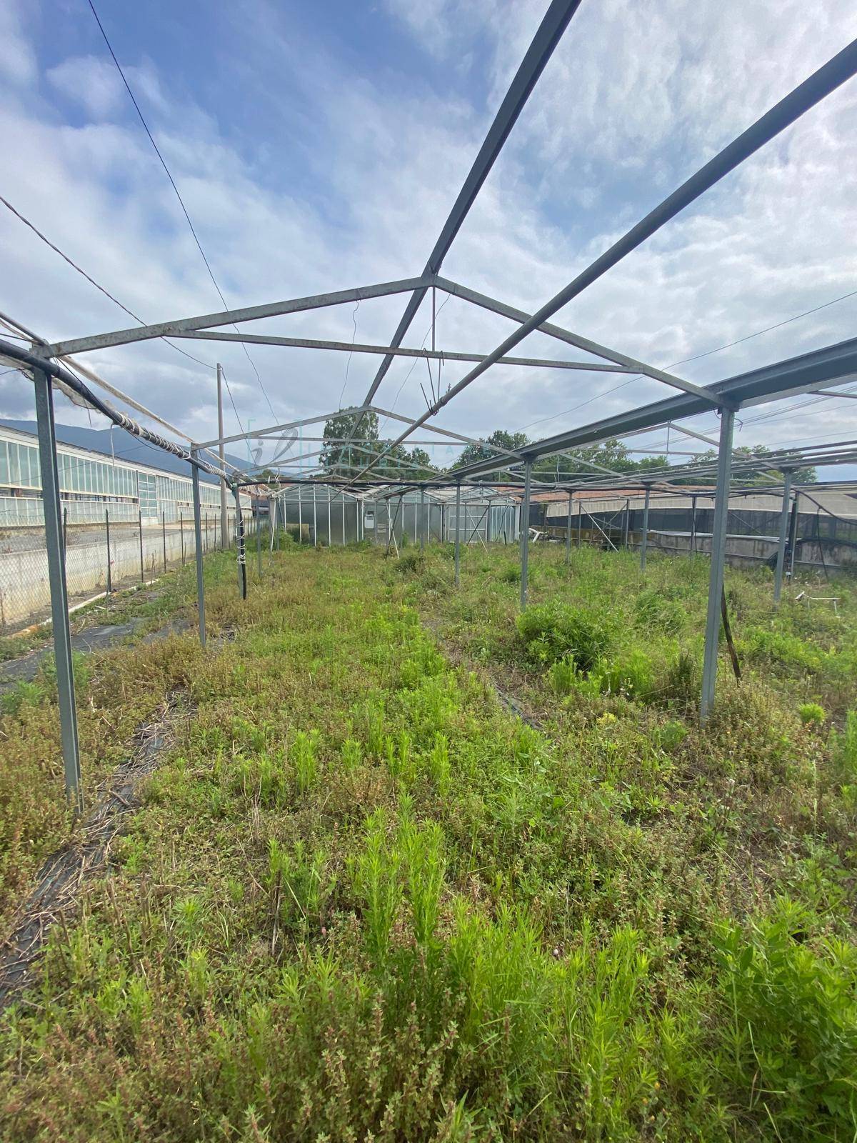 Terreno Agricolo in vendita a Albenga, Campochiesa