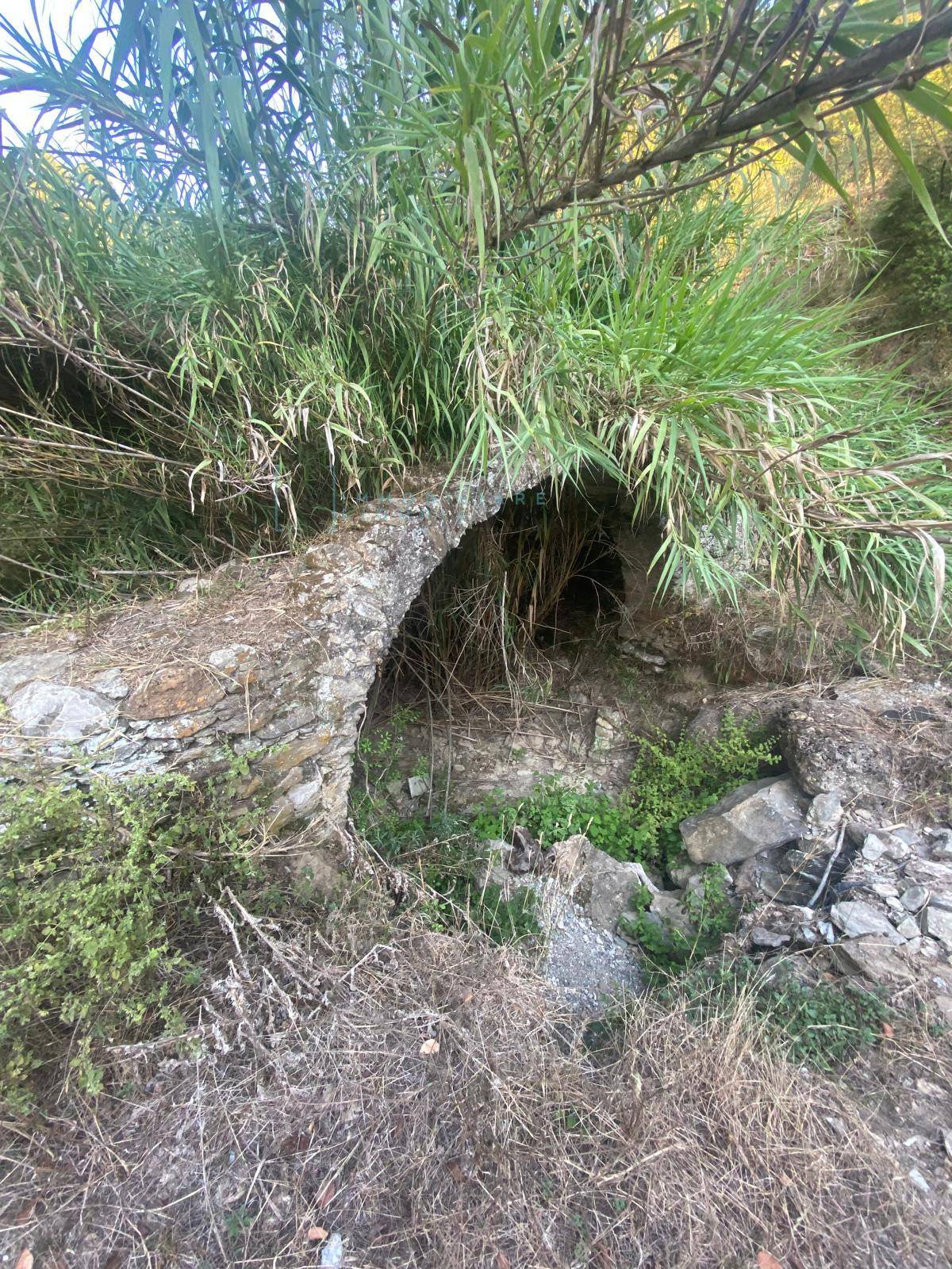 Terreno Agricolo in vendita a Albenga, San Fedele