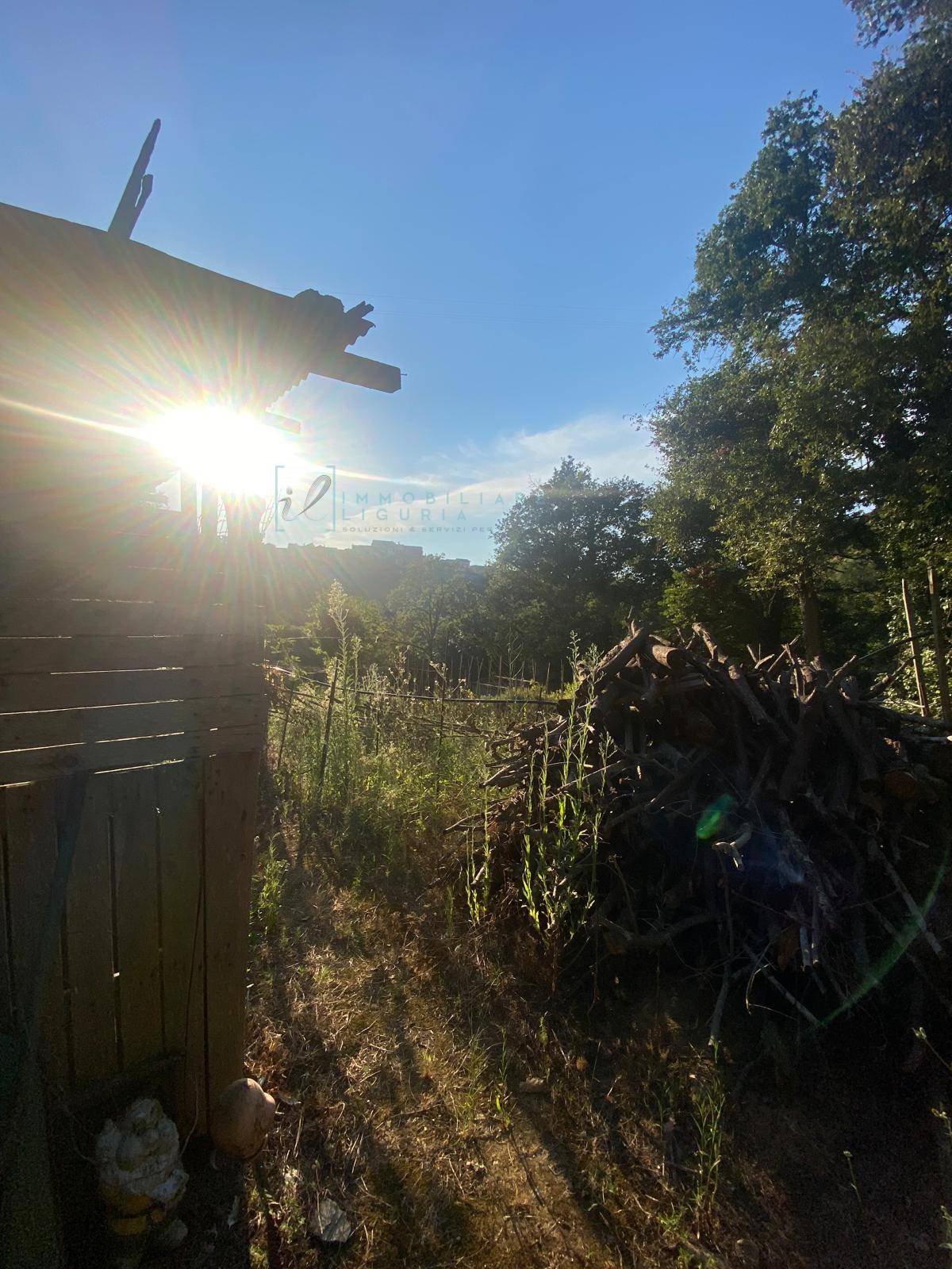 Terreno Agricolo in vendita a Albenga, San Fedele