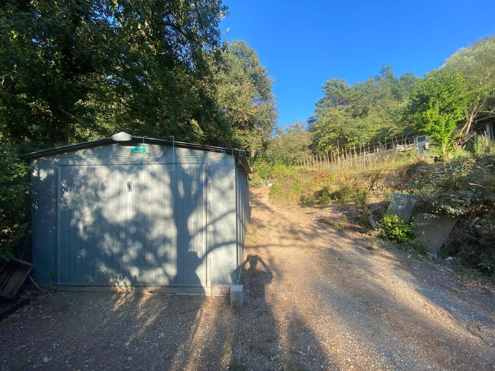 Terreno Agricolo in vendita a Albenga, San Fedele