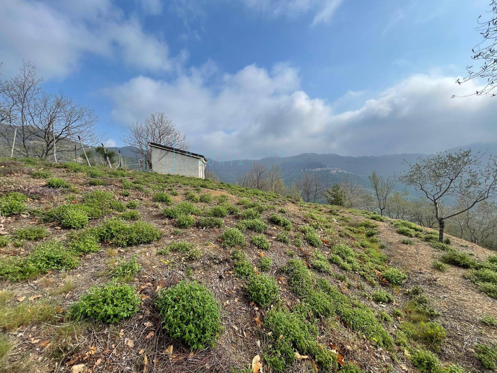 Terreno Agricolo in vendita a Caravonica