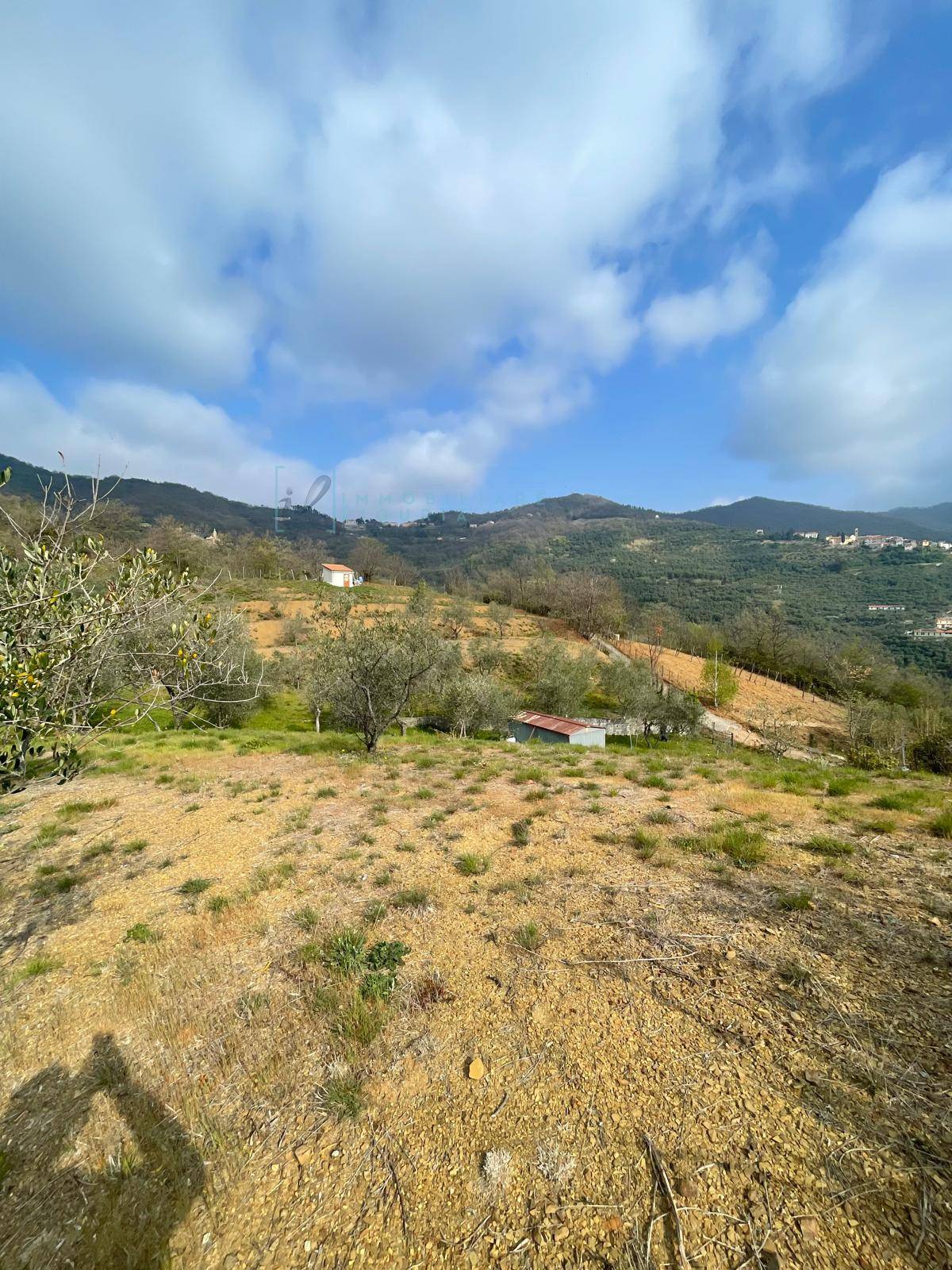 Terreno Agricolo in vendita a Caravonica