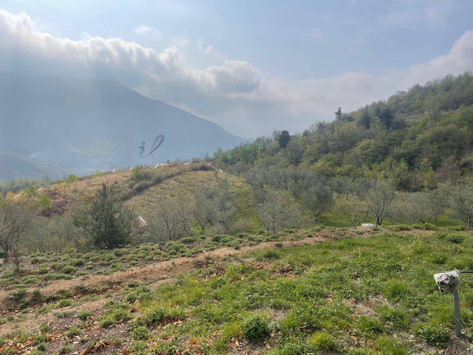 Terreno Agricolo in vendita a Caravonica