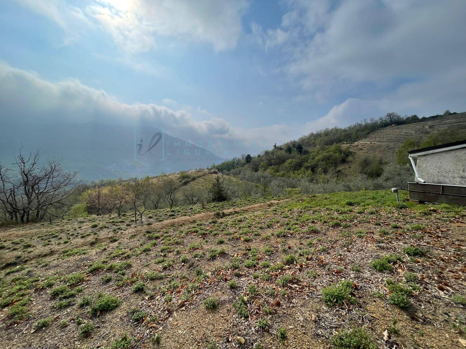 Terreno Agricolo in vendita a Caravonica