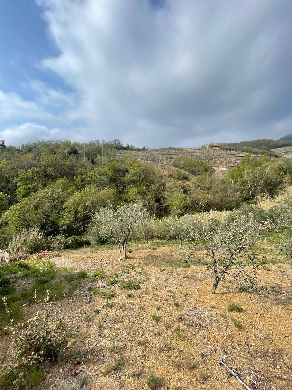 Terreno Agricolo in vendita a Caravonica