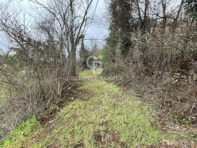 Terreno agricolo in vendita a Gallicano nel Lazio