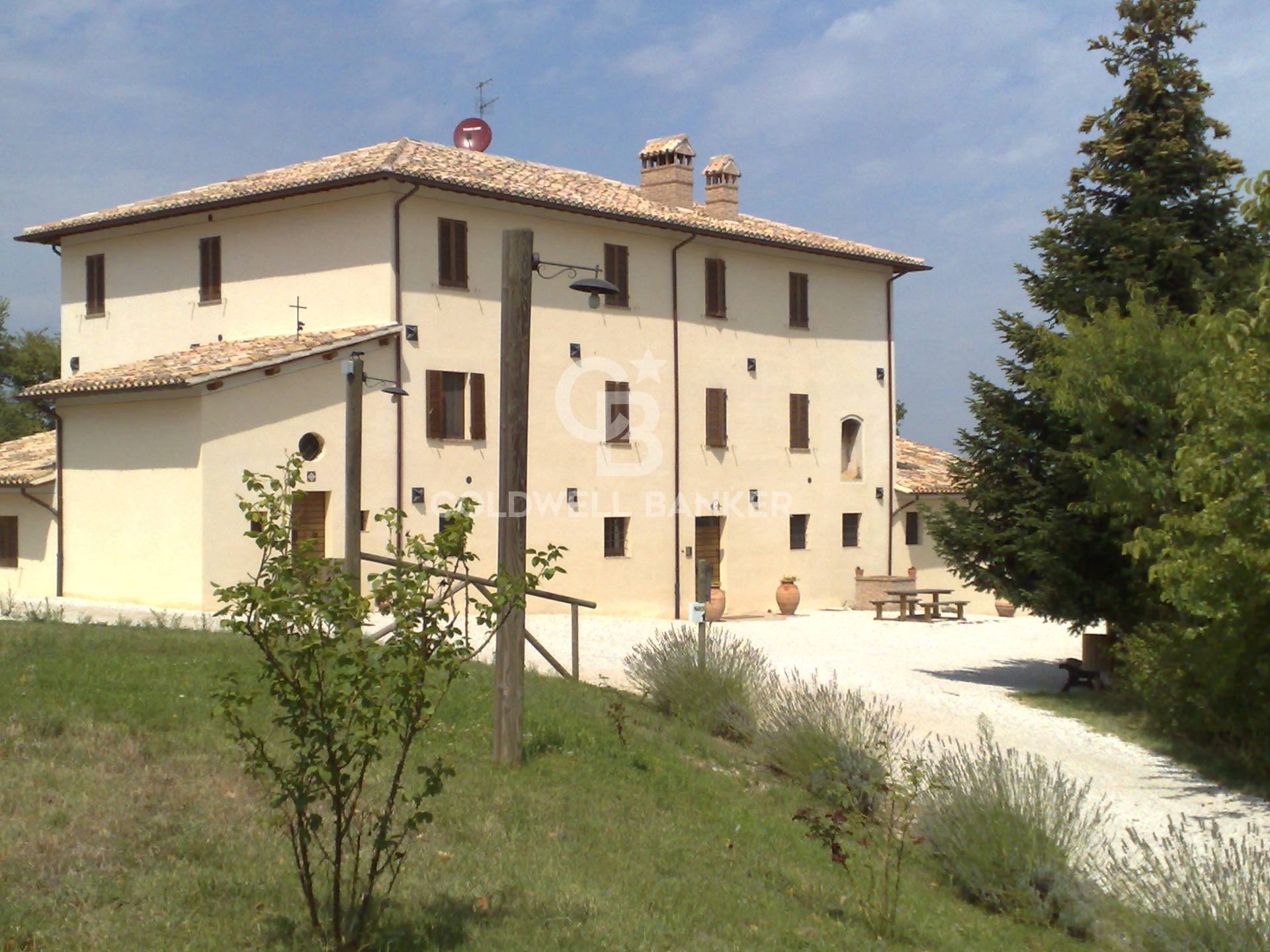 immagine annuncio 2 di 6
