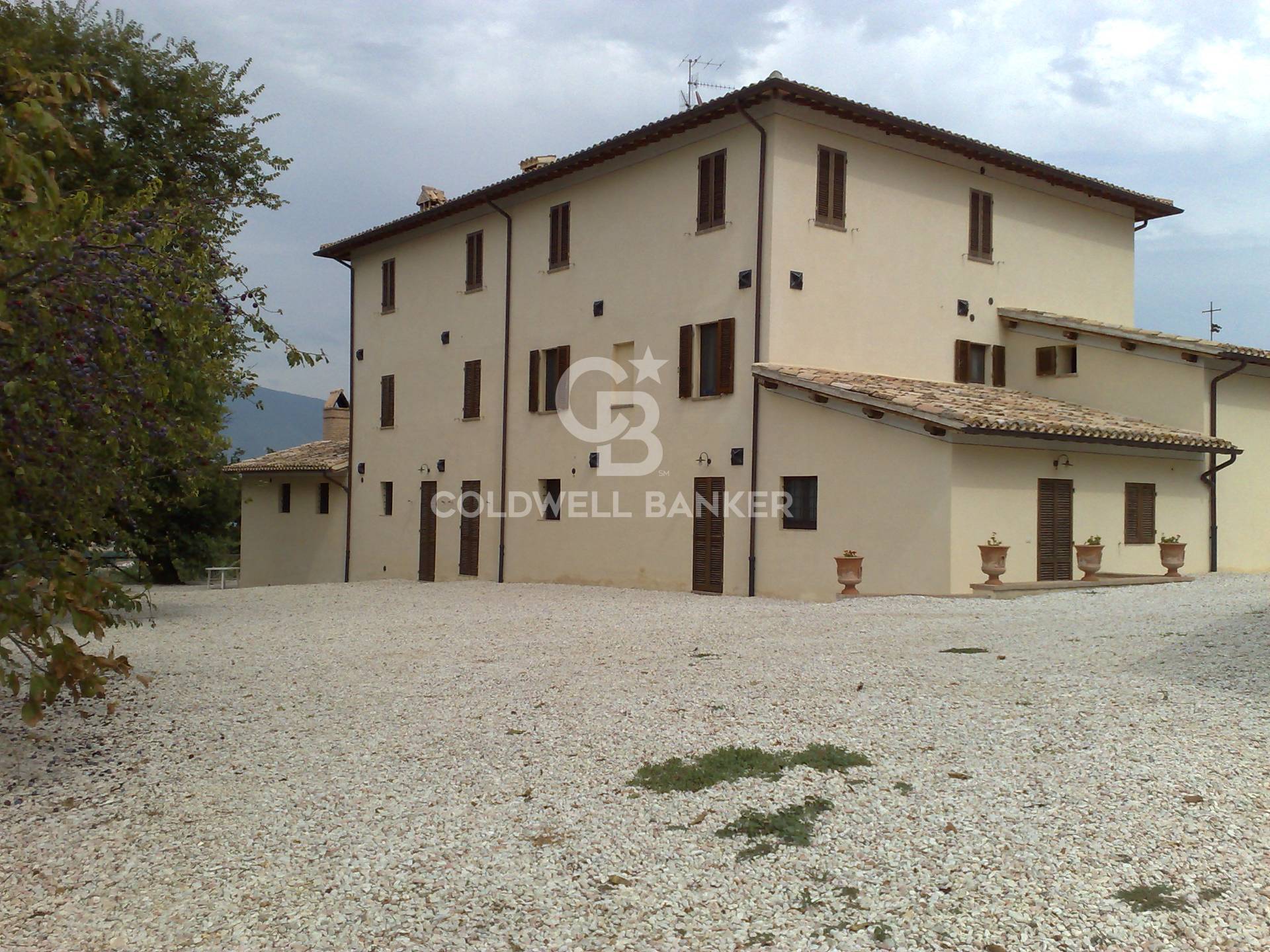 immagine annuncio 4 di 6