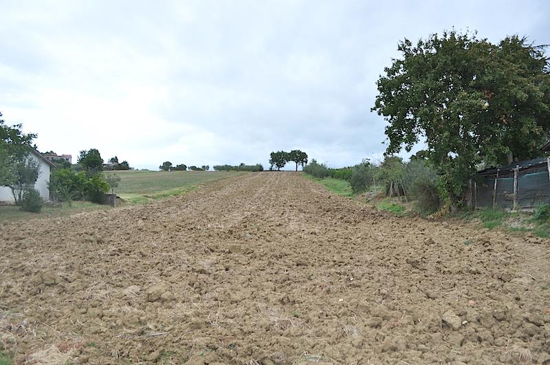 Terreno in vendita a Castiglione del Lago