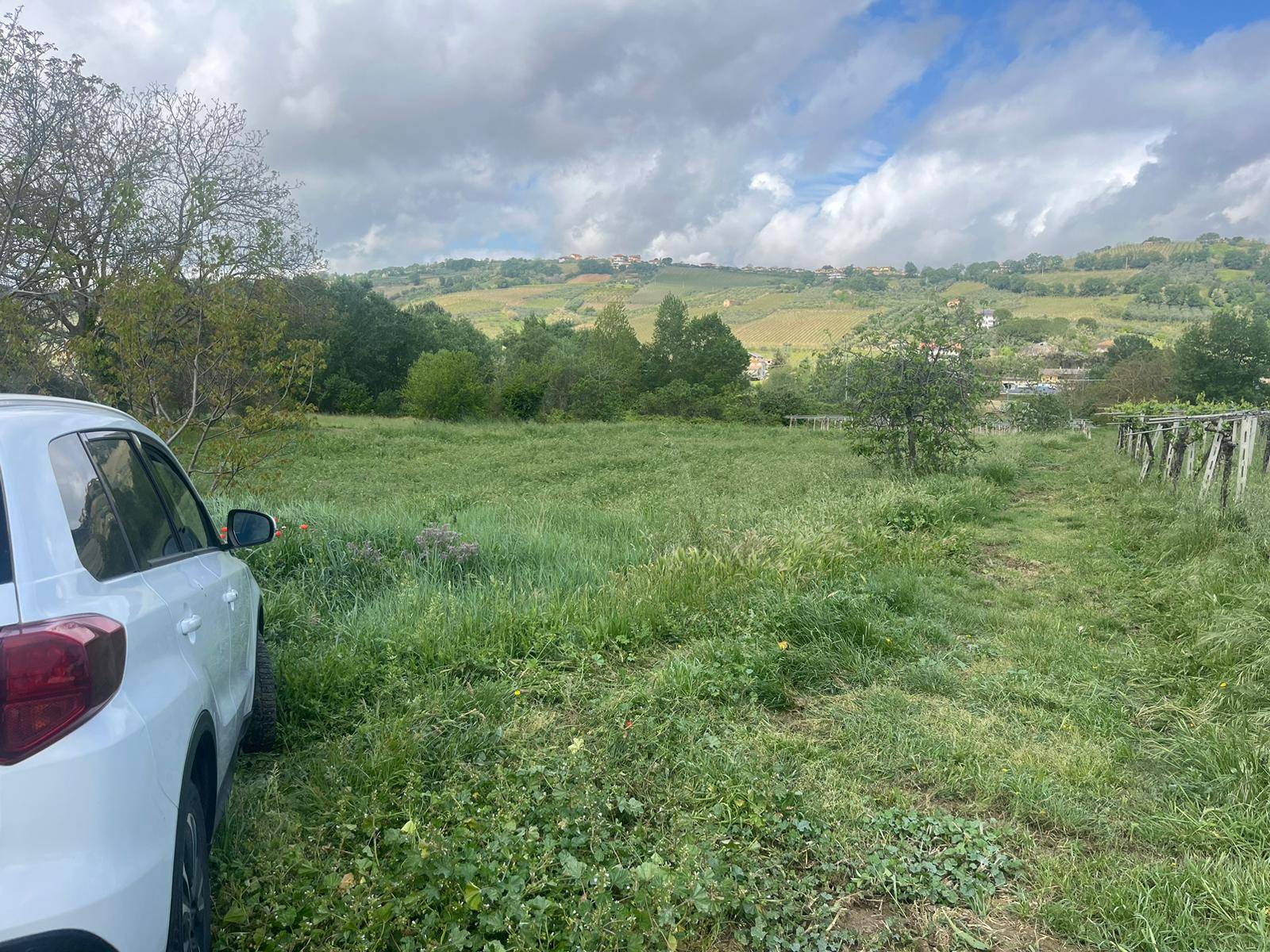 Magazzino in vendita a Miglianico, Montupoli