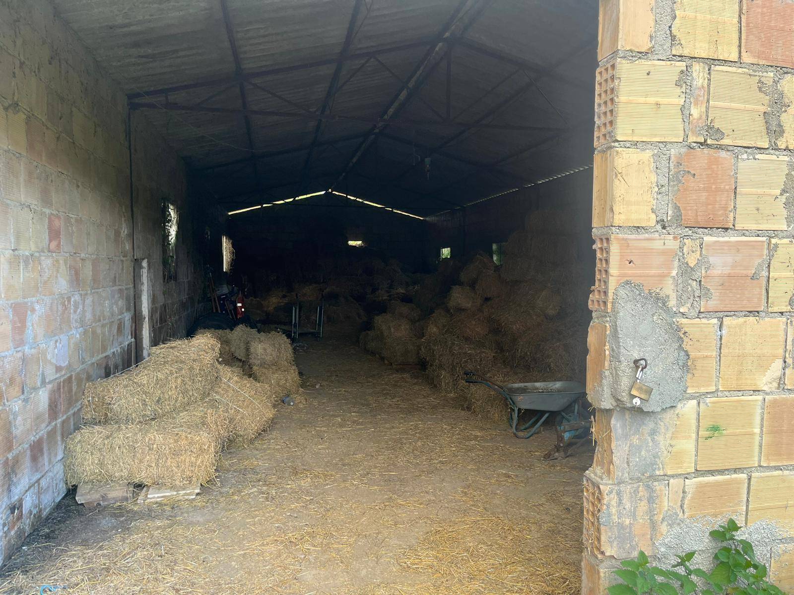 Magazzino in vendita a Miglianico, Montupoli