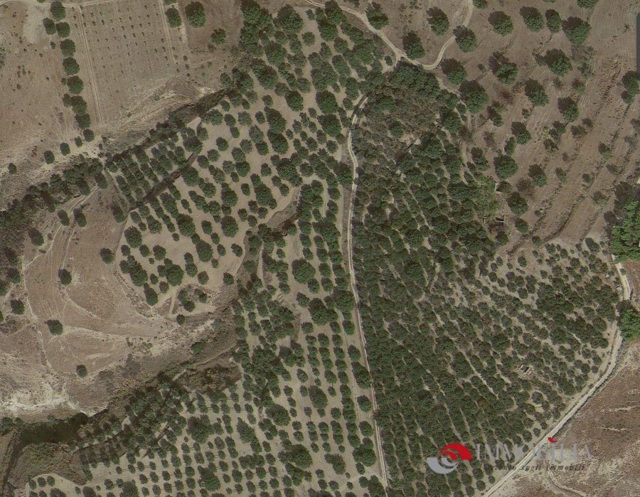 Locale commerciale in vendita, Melito di Porto Salvo pentedattilo