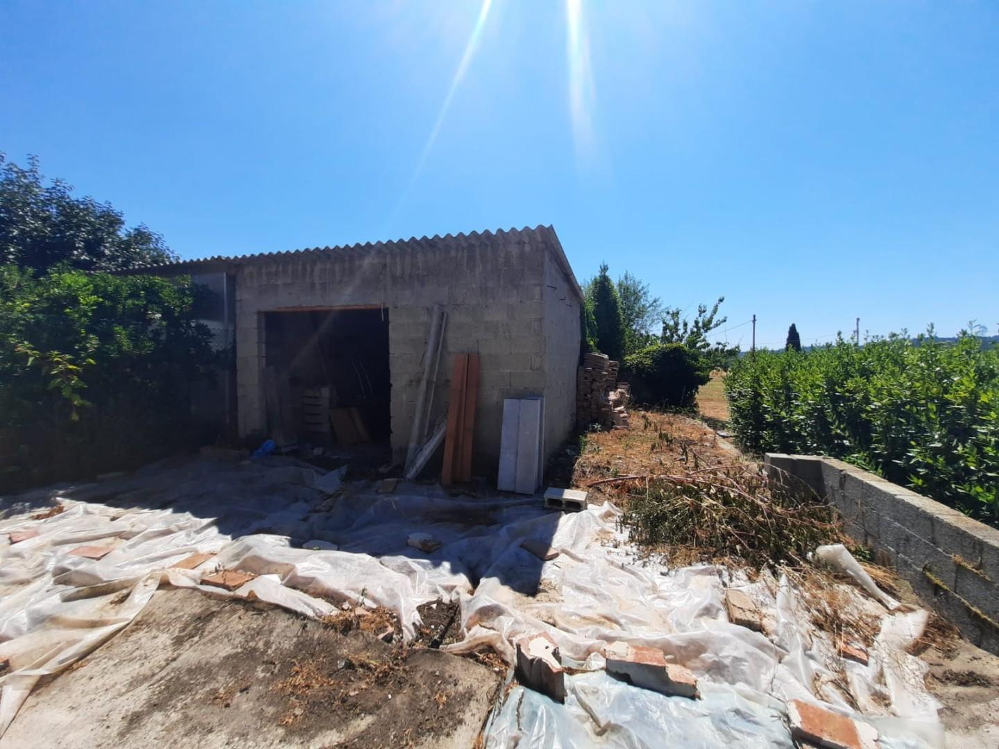 Casa indipendente nuova, Pescia veneri
