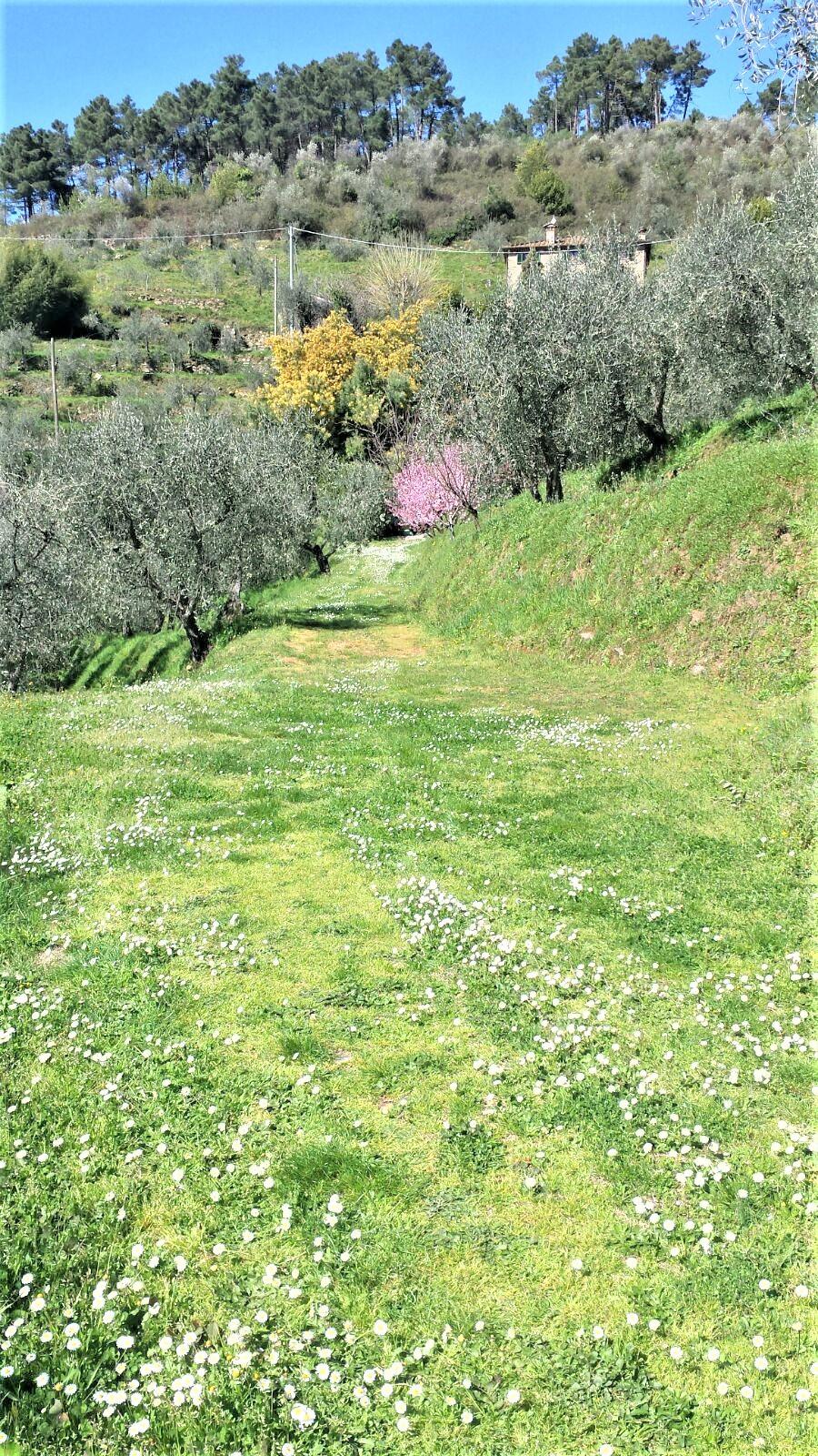 immagine annuncio 1 di 3