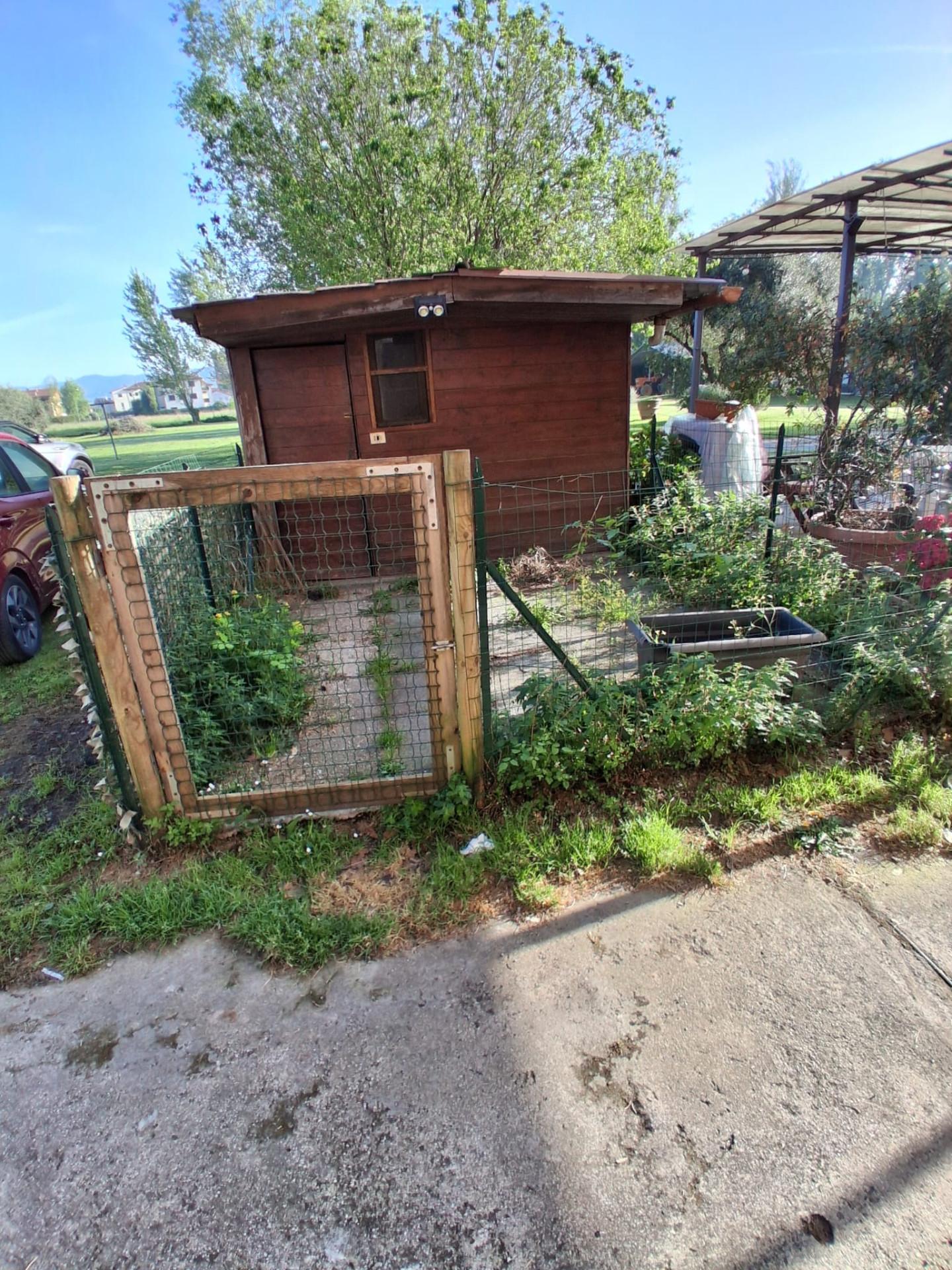 Casa indipendente con giardino, Capannori pieve san paolo