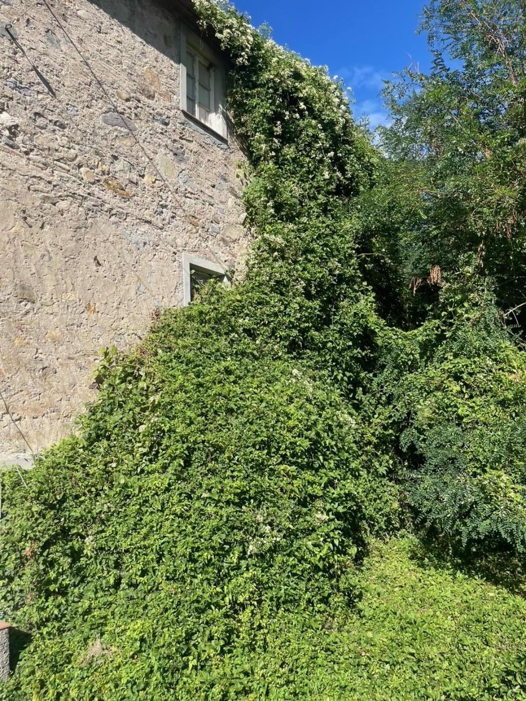 Casa indipendente con giardino, Capannori colle di compito