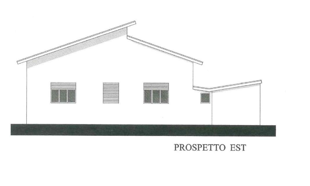 Casa indipendente con giardino, Capannori lunata
