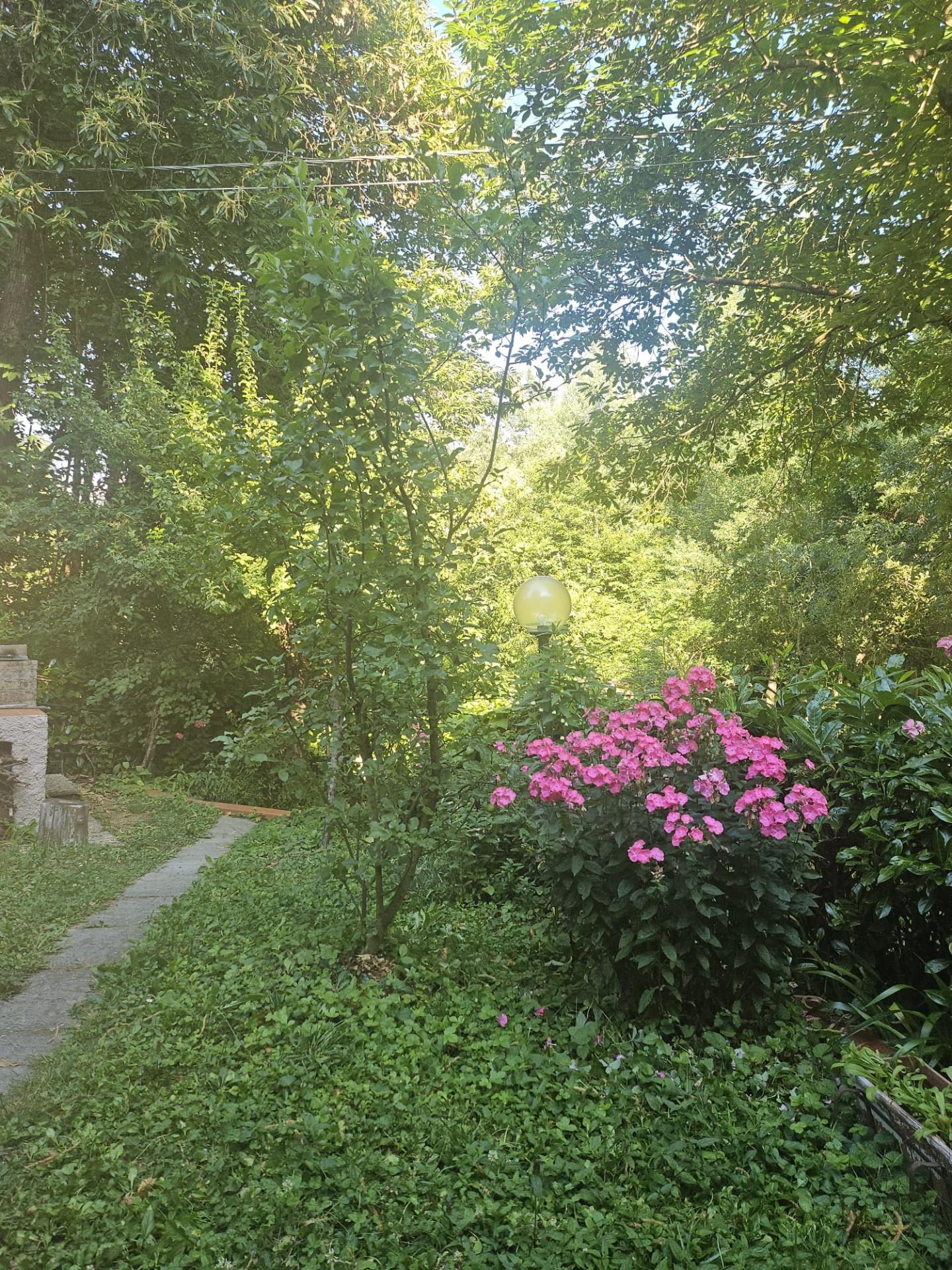 Villa in vendita, Marliana femminamorta