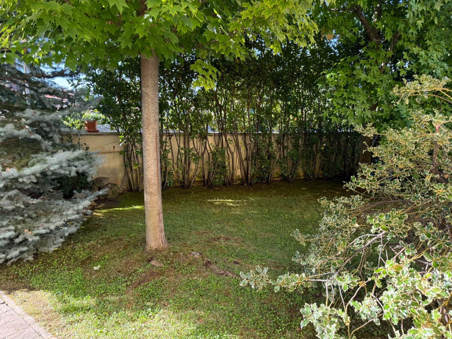 Appartamento con giardino, Capannori lunata