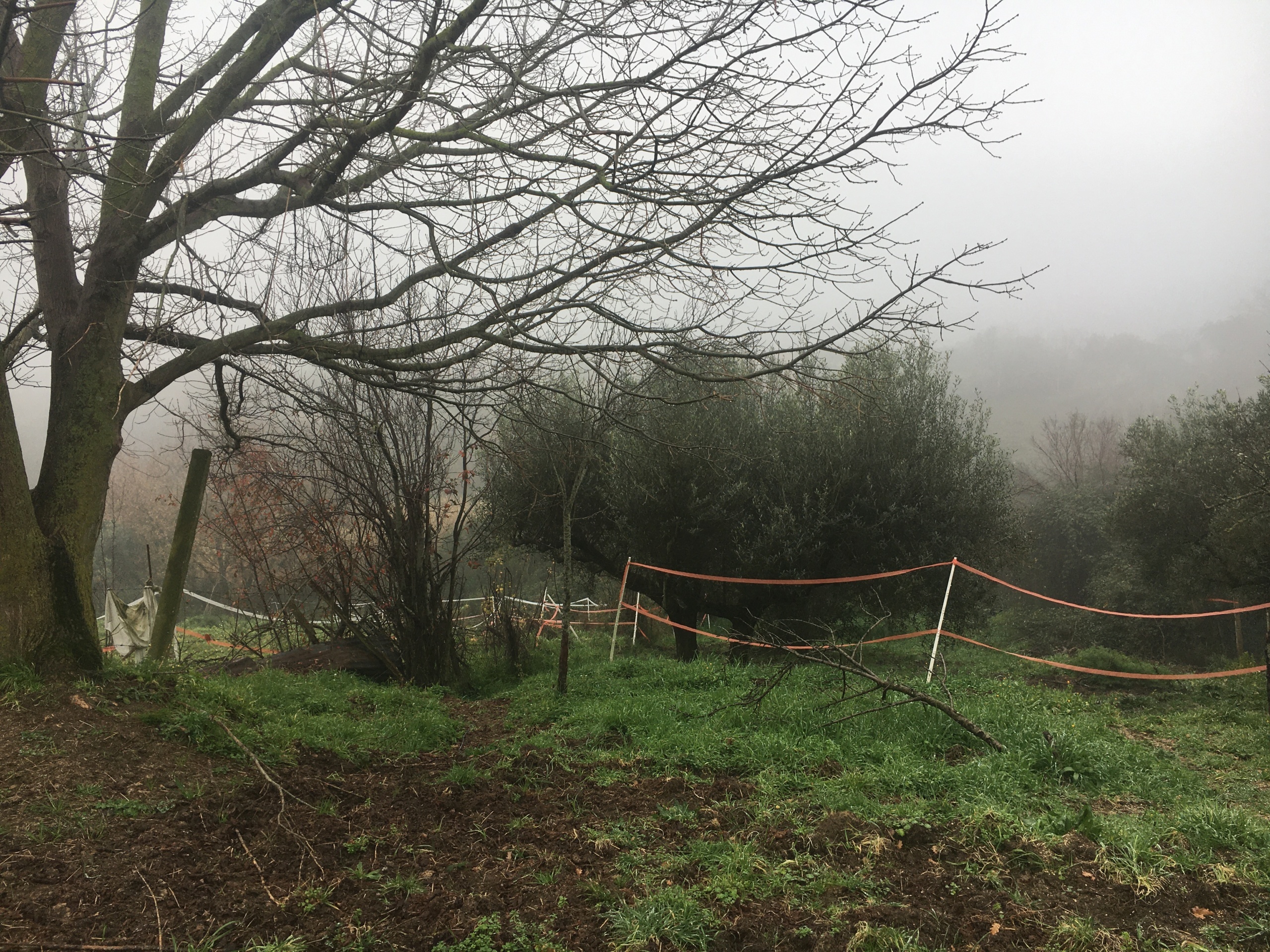 immagine annuncio 2 di 6