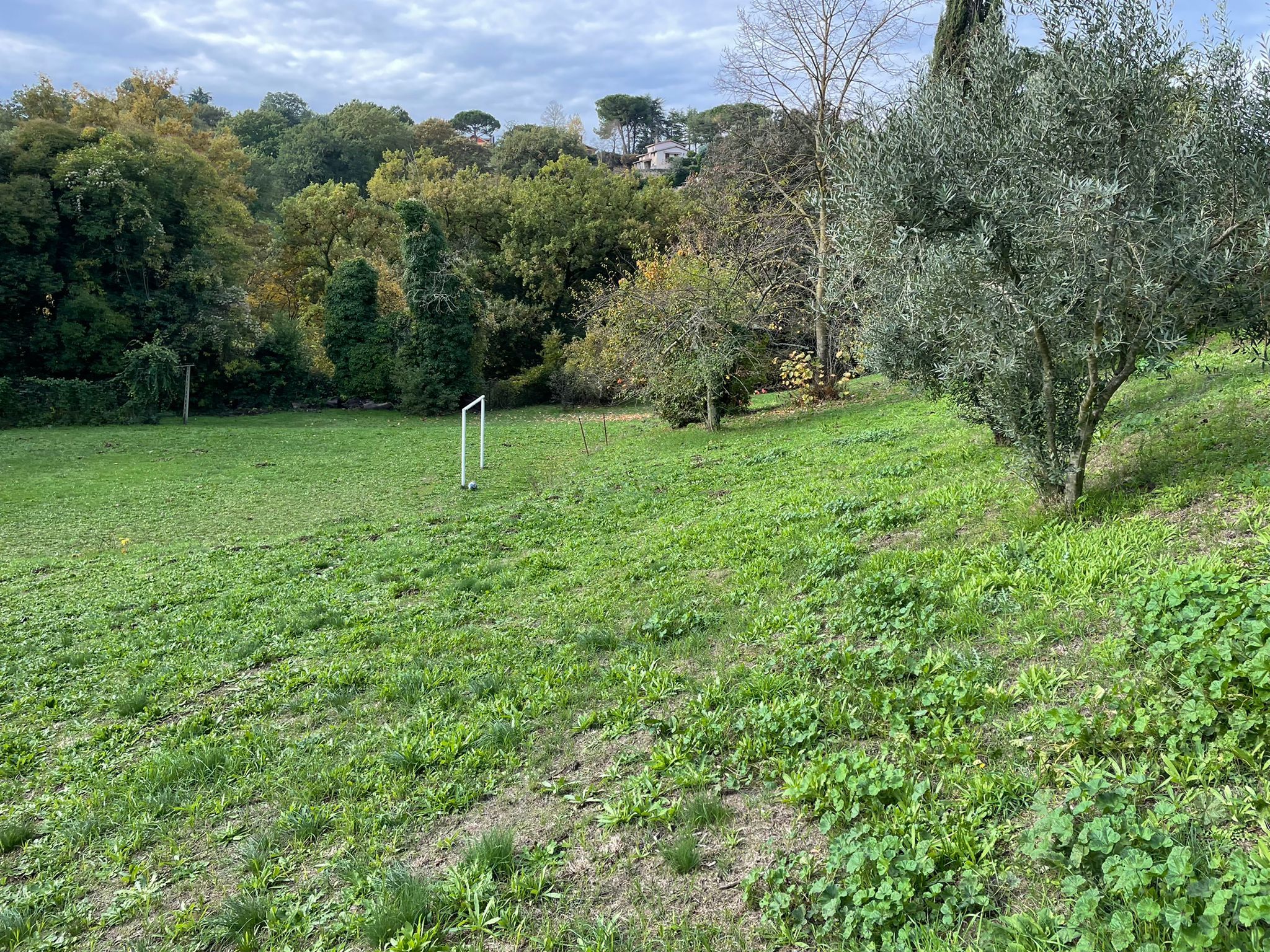 immagine annuncio 1 di 6