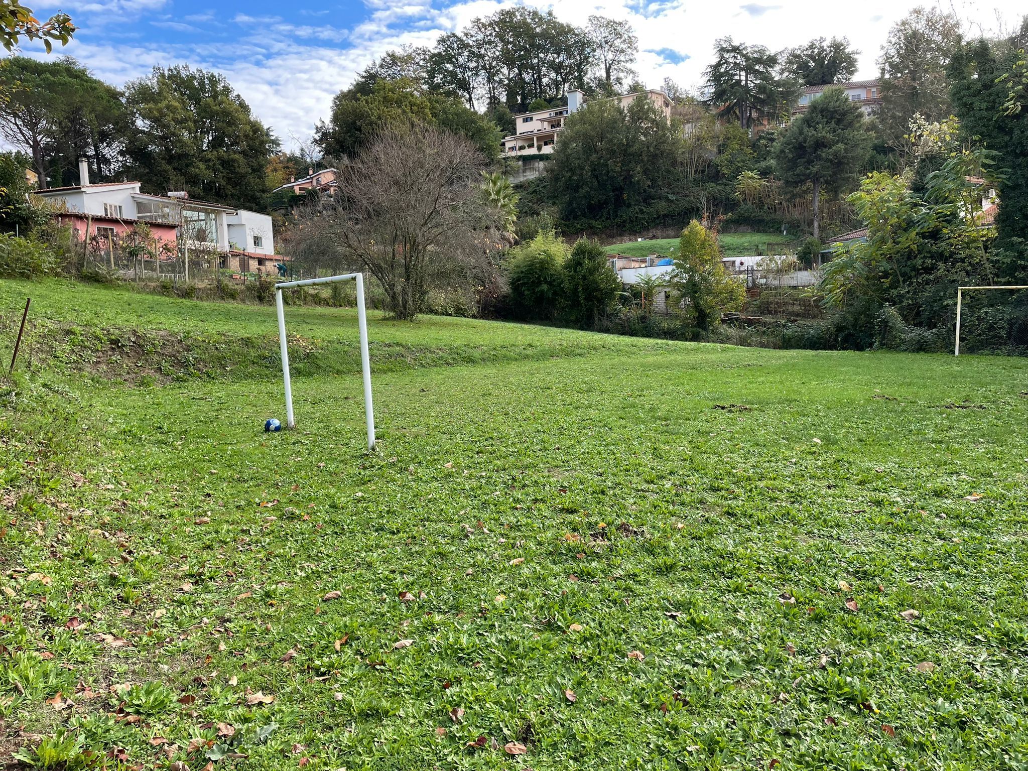 immagine annuncio 5 di 6