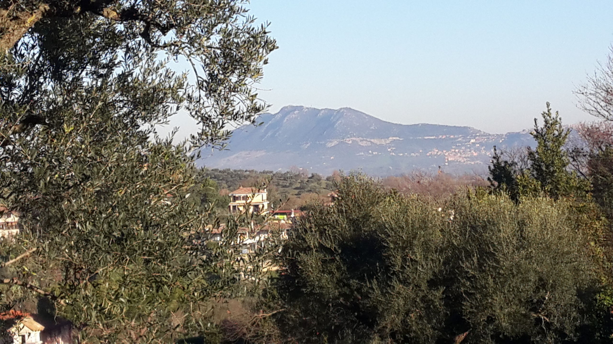 Terreno Edificabile in vendita in via enzo ferrari 5, Morlupo