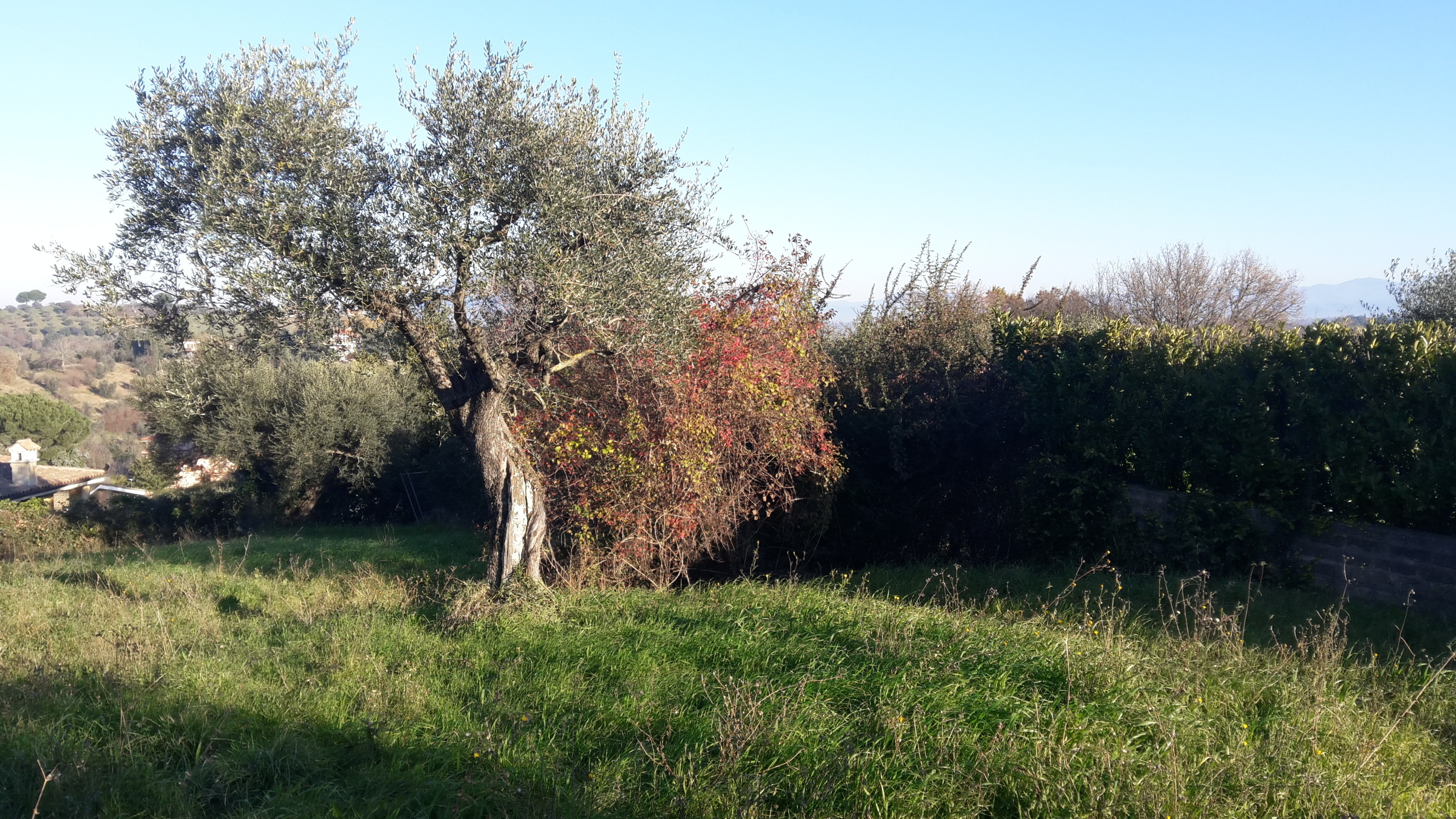 Terreno Edificabile in vendita in via enzo ferrari 5, Morlupo
