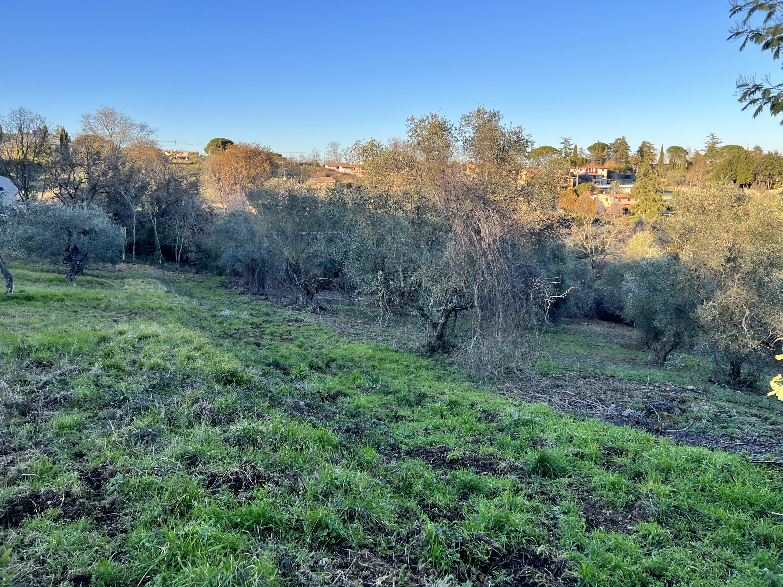 Terreno Agricolo da ristrutturare in strada n'1 25, Morlupo