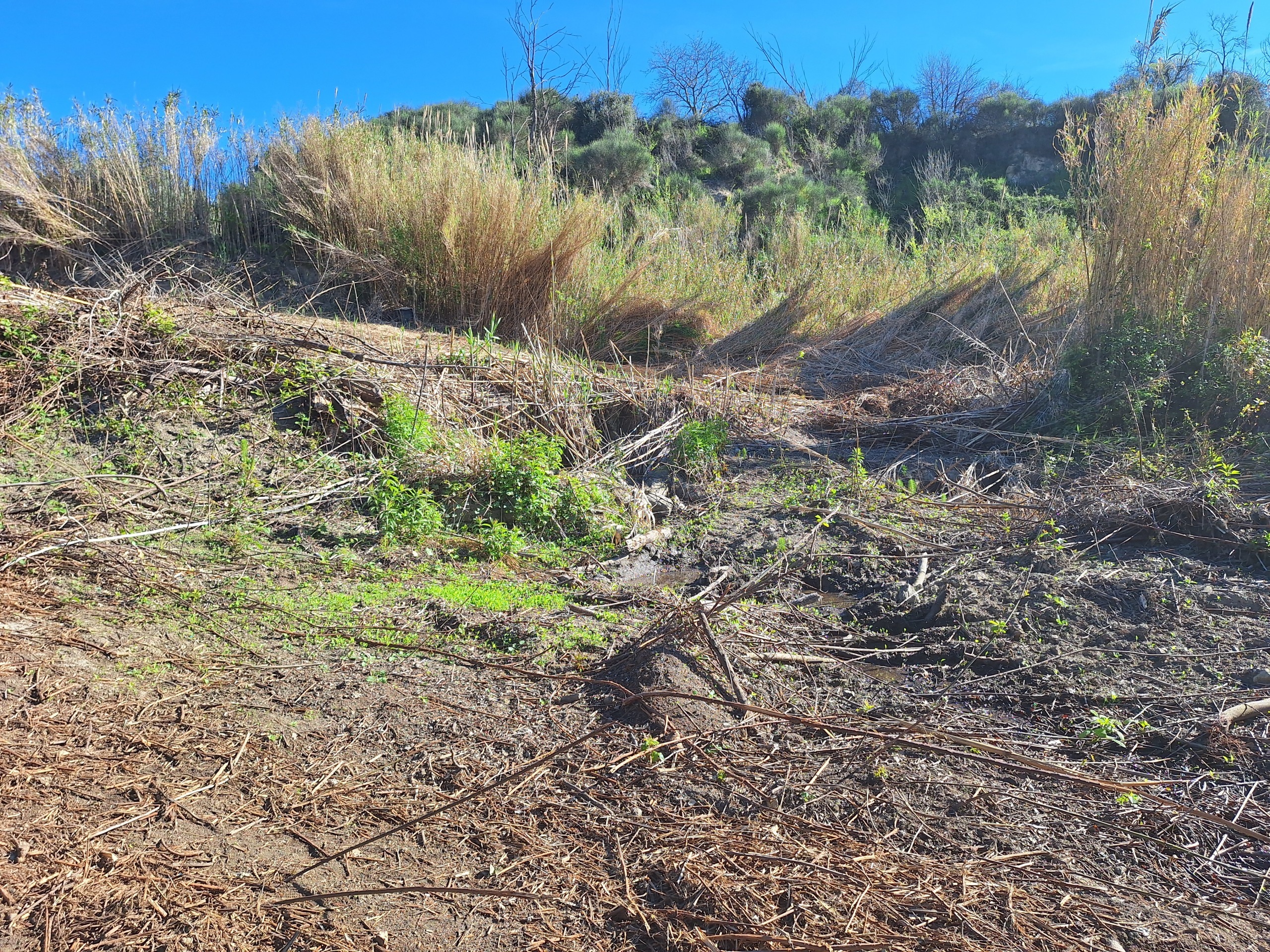 Stabile/Palazzo da ristrutturare in via delle grotte, Morlupo