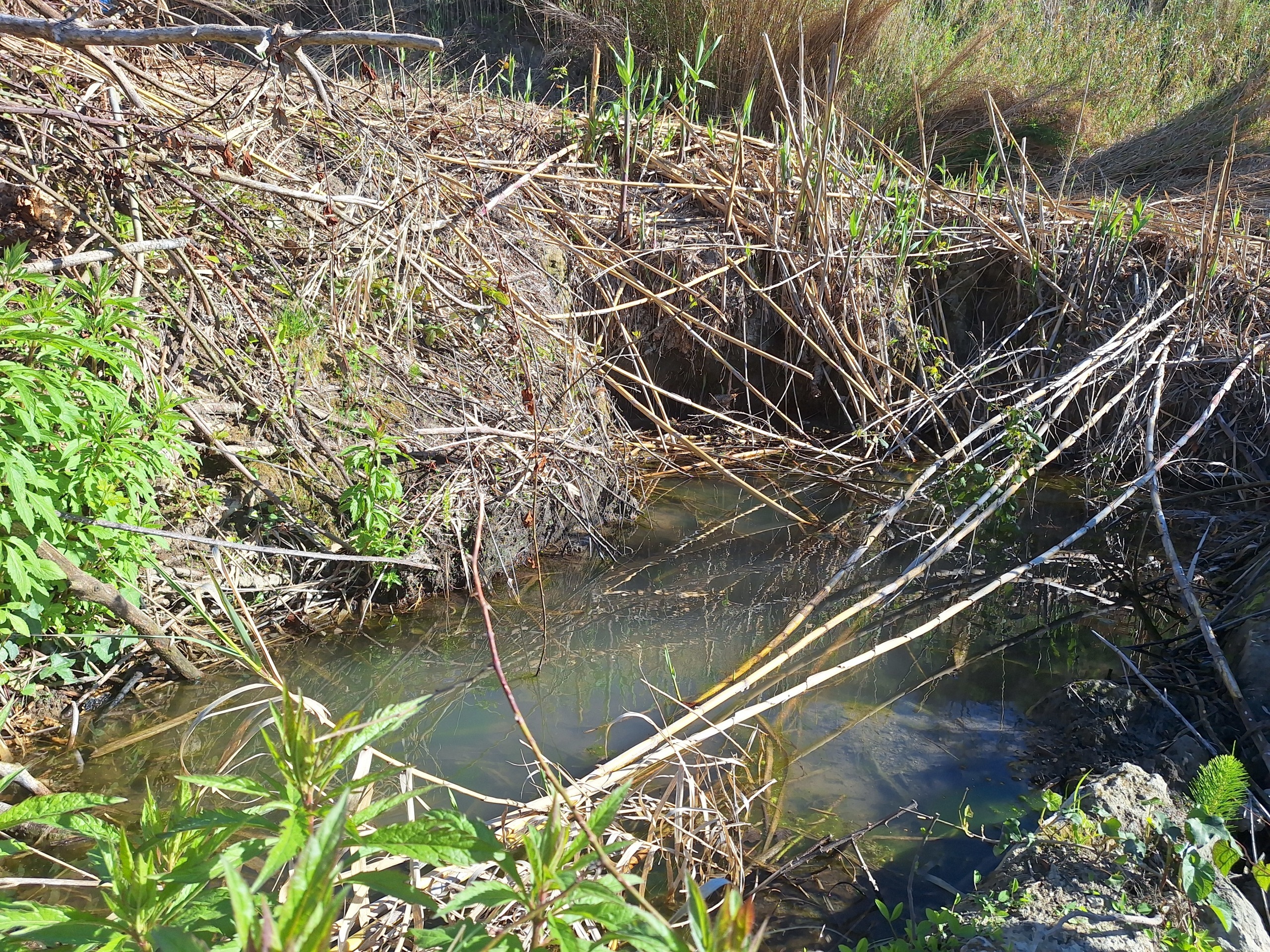 Terreno Agricolo da ristrutturare in via delle grotte 1521, Morlupo
