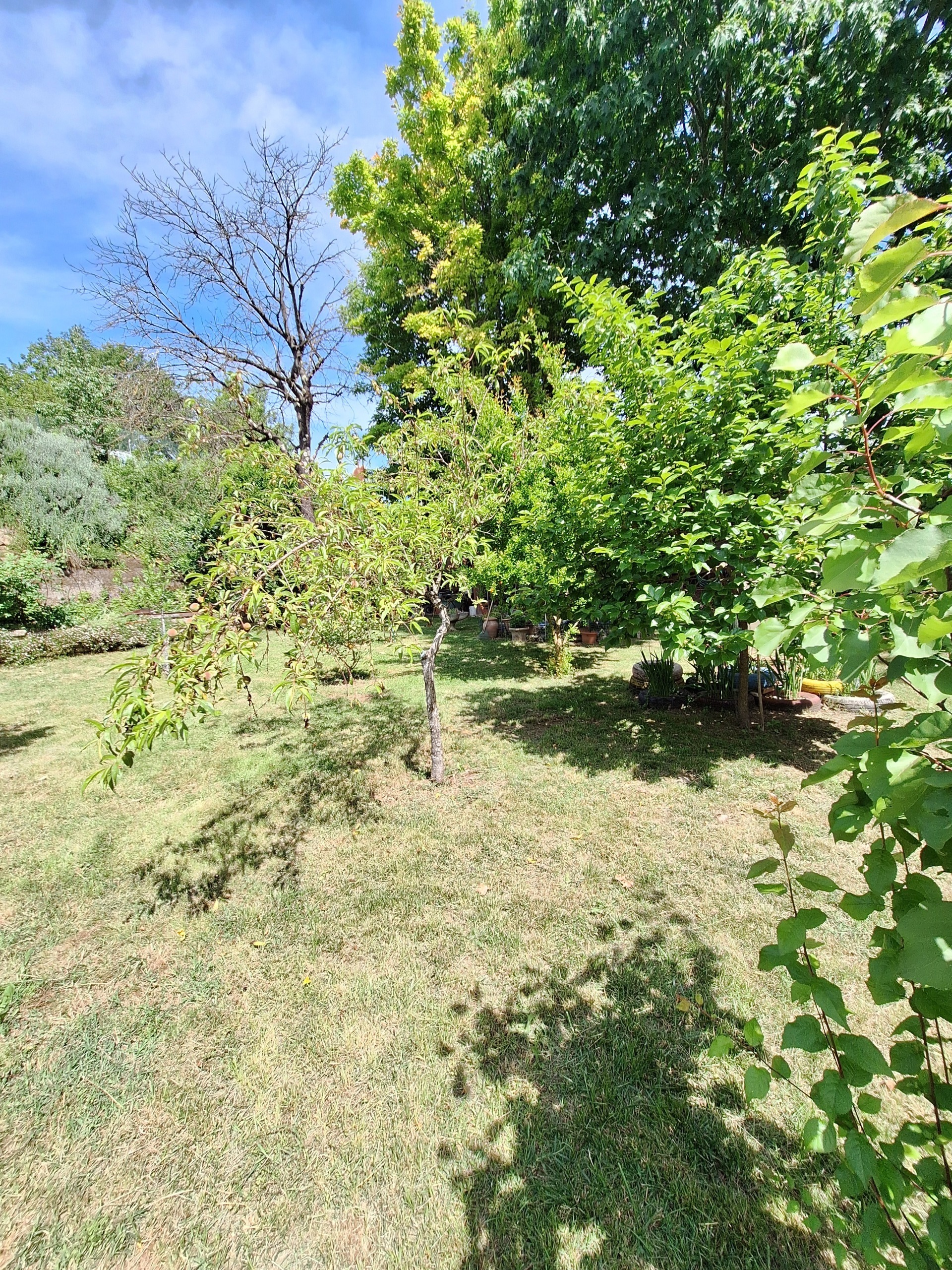 Appartamento con giardino in via antonio varisco 34, Morlupo
