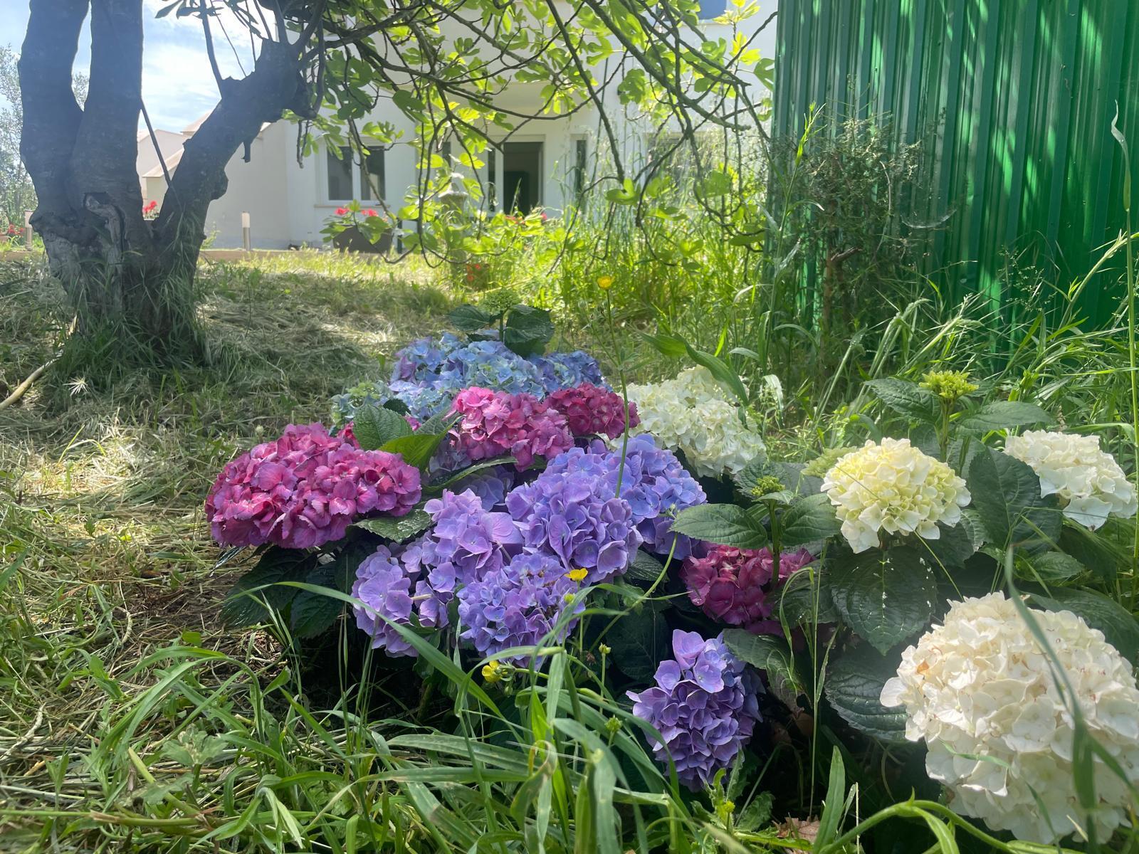 Appartamento con giardino in via di vallelunga 40a, Rignano Flaminio