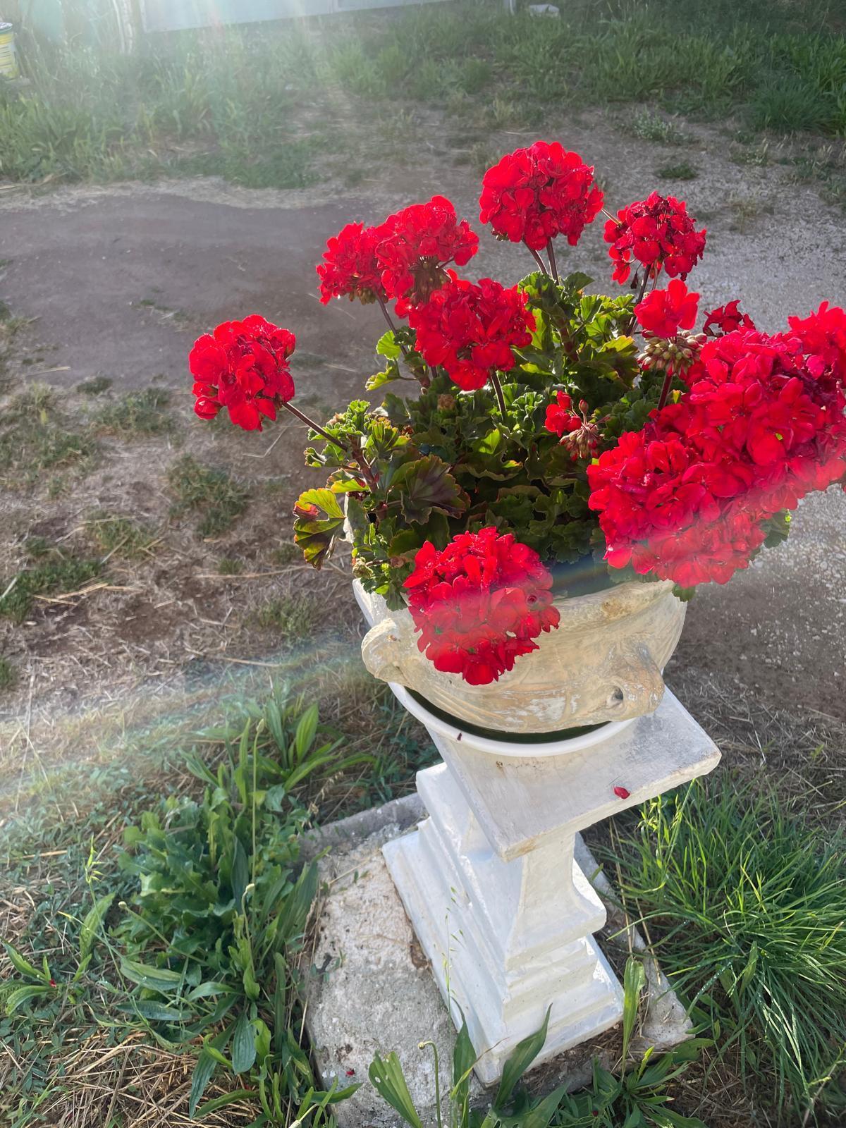 Appartamento con giardino in via di vallelunga 40a, Rignano Flaminio