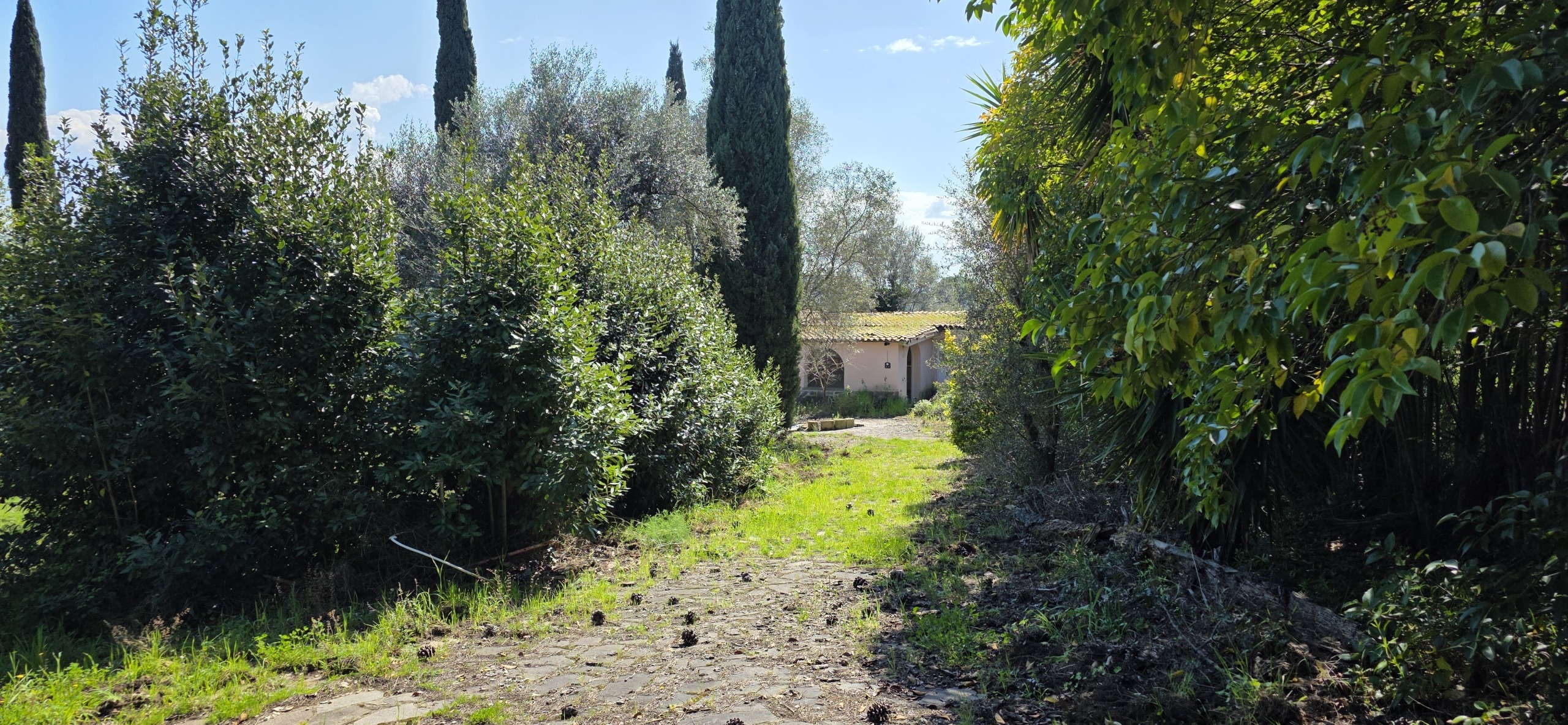 Terreno Agricolo da ristrutturare in via enrico fermi 13, Morlupo