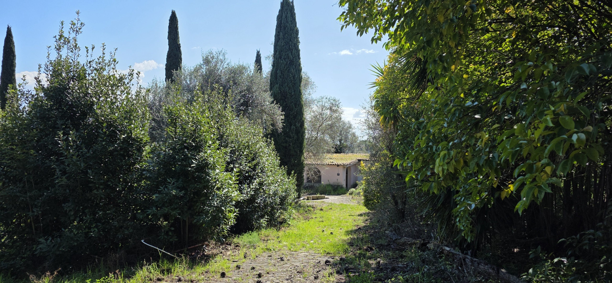 Terreno Agricolo da ristrutturare in via enrico fermi 13, Morlupo