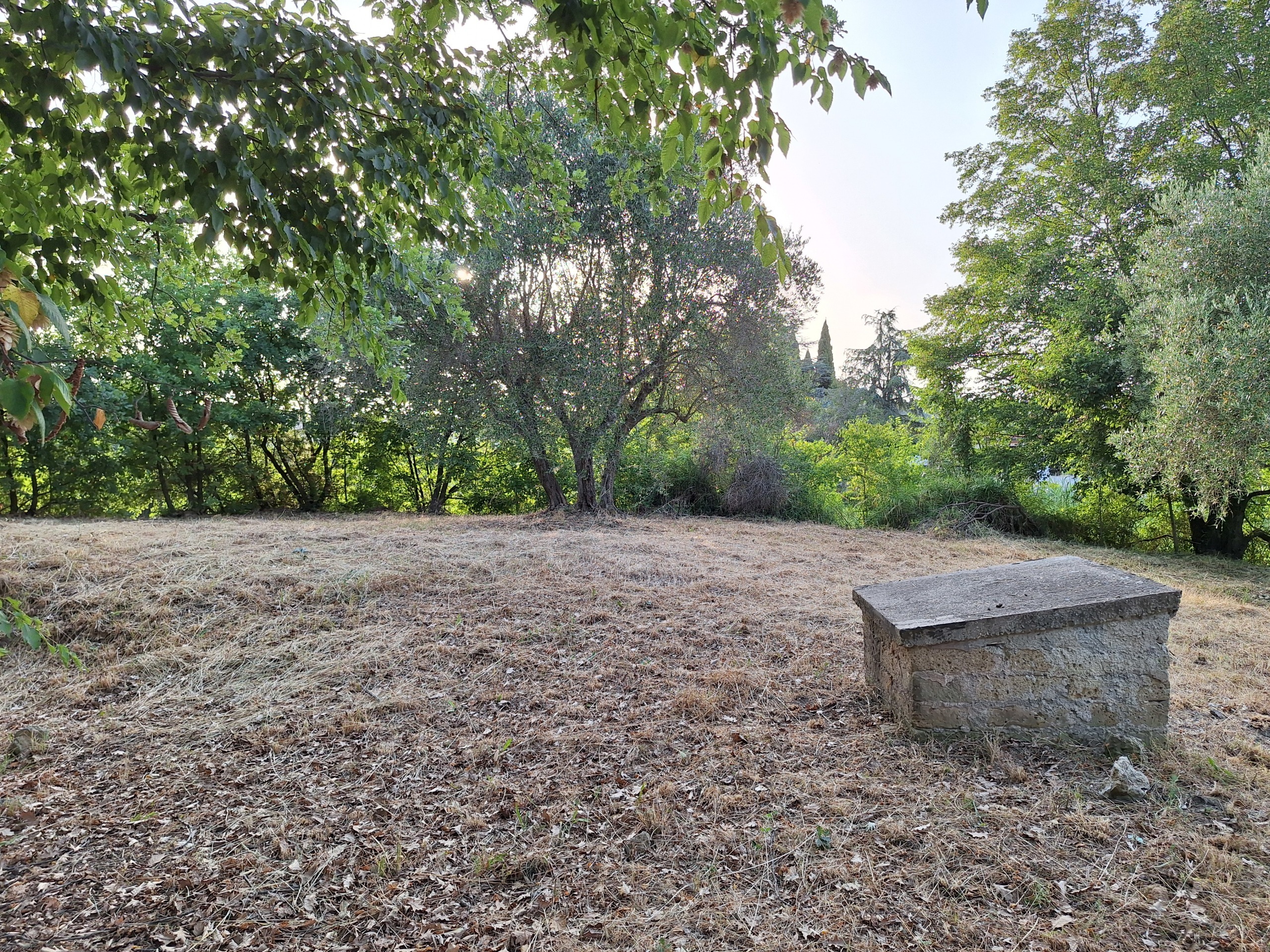 Terreno Agricolo in vendita in via mossa dei barberi 61, Morlupo