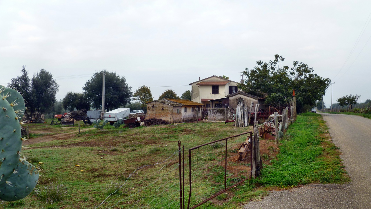 Attivit commerciale in vendita a Pitigliano